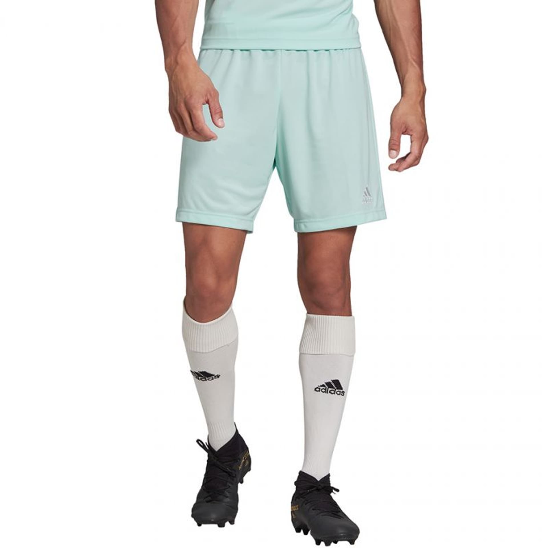

Spodenki adidas Entrada 22 M (kolor Niebieski, rozmiar XL)