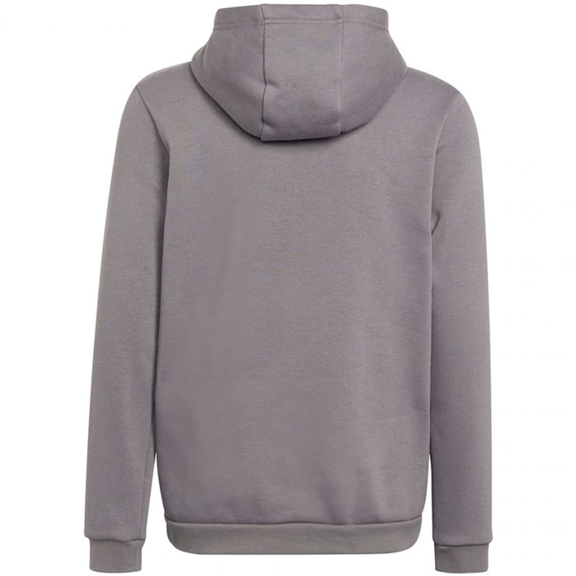 

Bluza adidas Entrada 22 Hoody Jr (kolor Szary/Srebrny