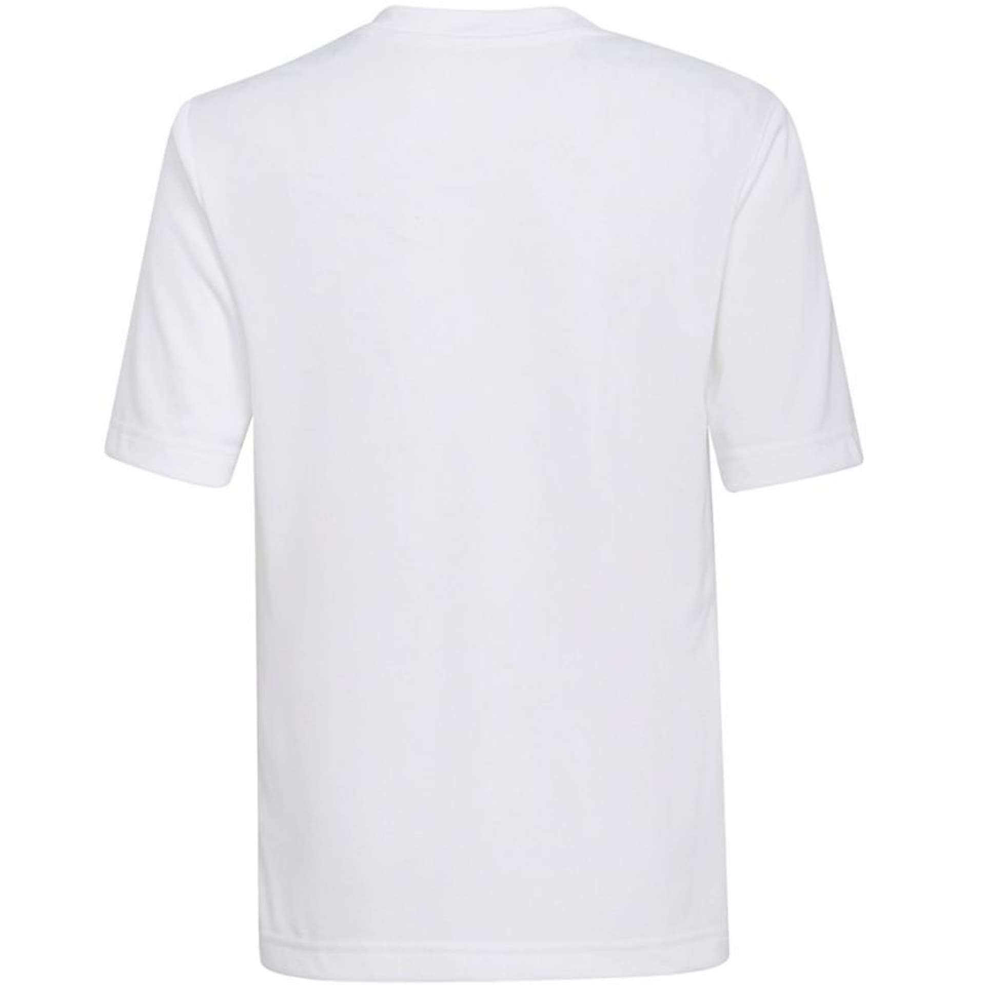 

Koszulka adidas Entrada 22 Jsy Jr (kolor Biały