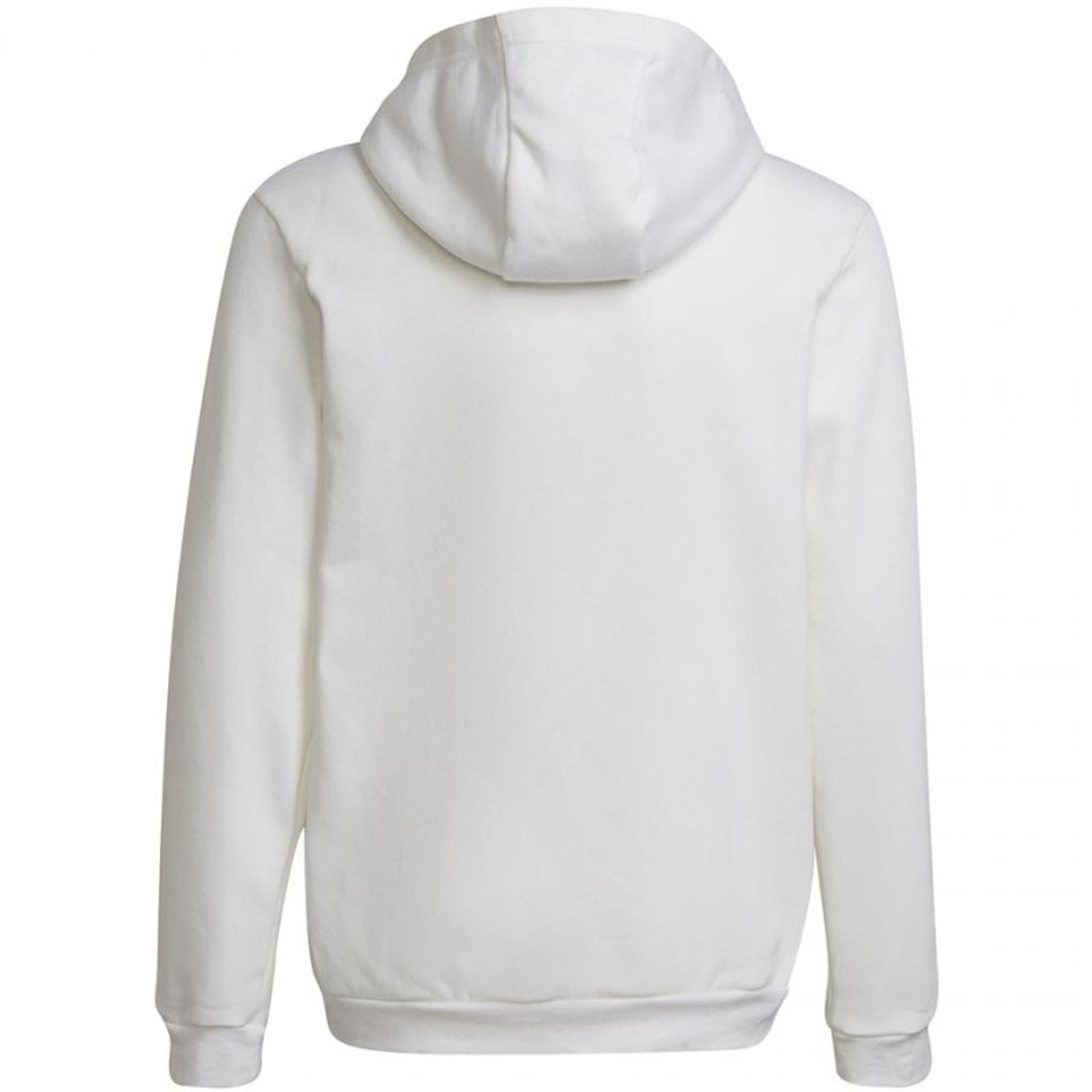 

Bluza adidas Entrada 22 Hoody Jr (kolor Biały, rozmiar 176cm)