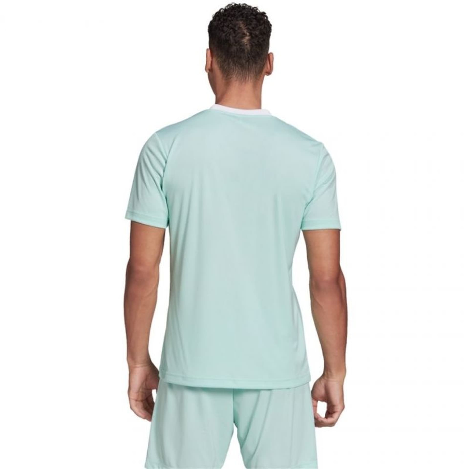 

Koszulka adidas Entrada 22 M (kolor Zielony, rozmiar 2 XL)