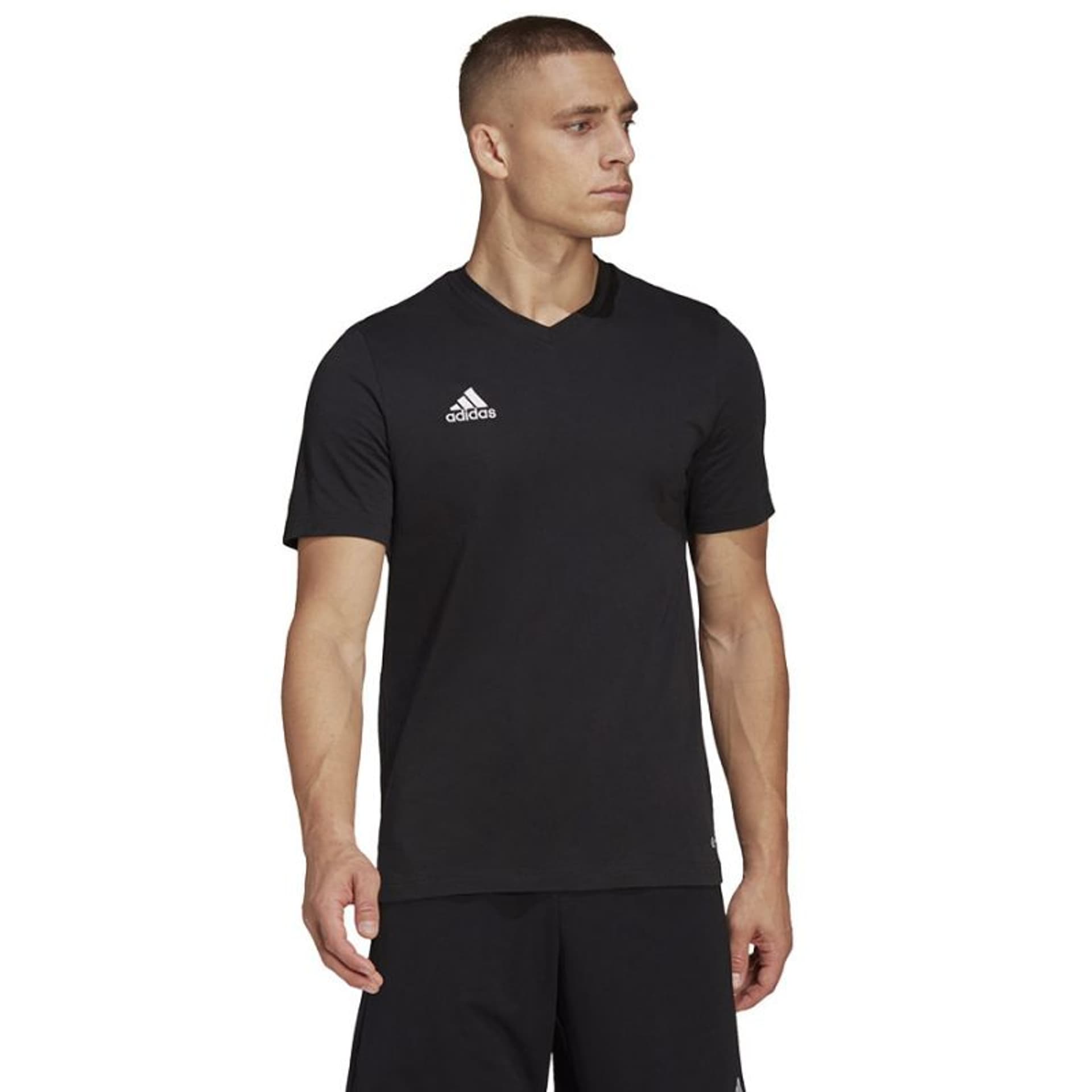 

Koszulka adidas Entrada 22 Tee M (kolor Czarny, rozmiar L)