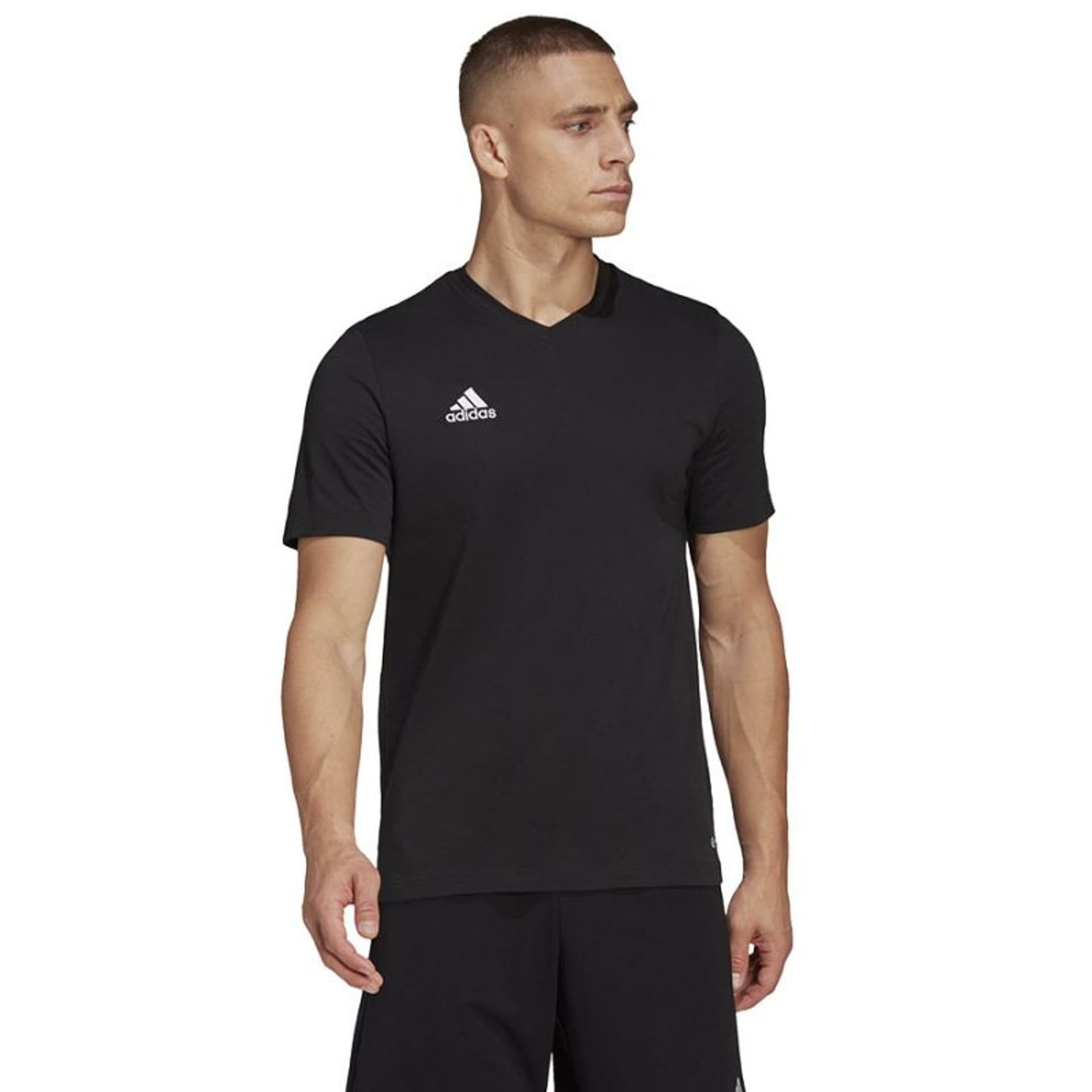 

Koszulka adidas Entrada 22 Tee M (kolor Czarny, rozmiar XXL)
