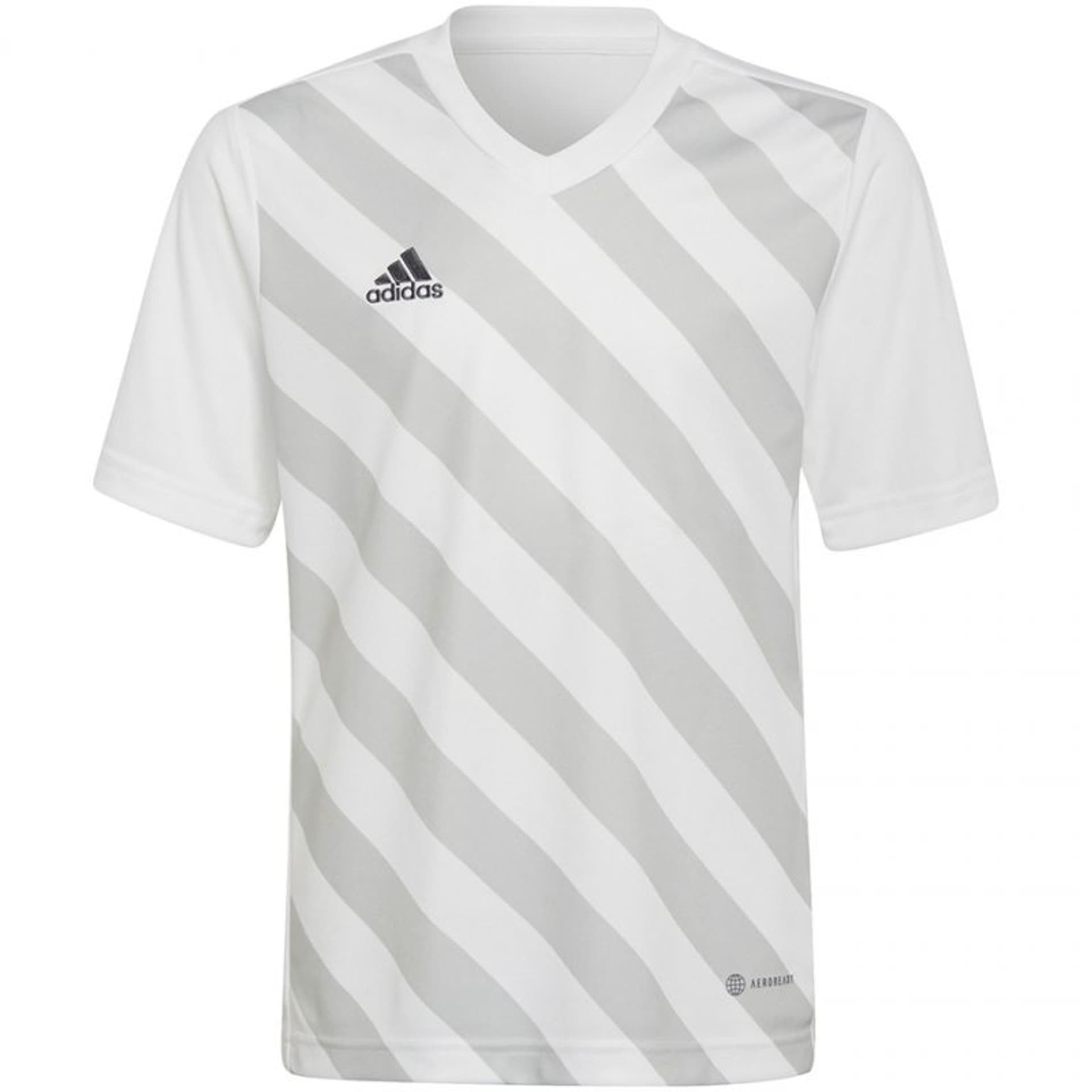 

Koszulka adidas Entrada 22 Graphic Jersey Jr (kolor Biały. Szary/Srebrny