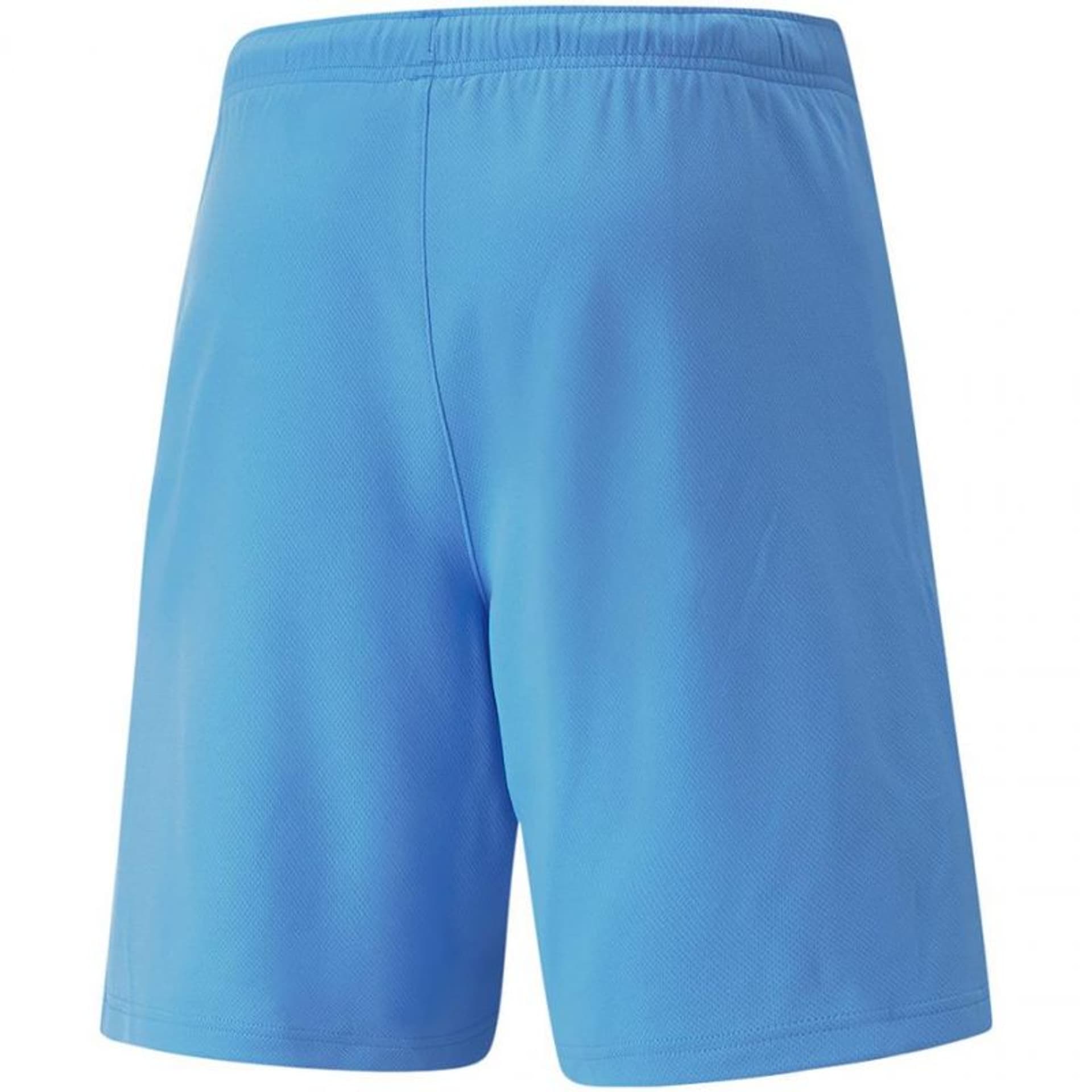 

Spodenki Puma teamRise Short Team M 704942 (kolor Niebieski, rozmiar L)