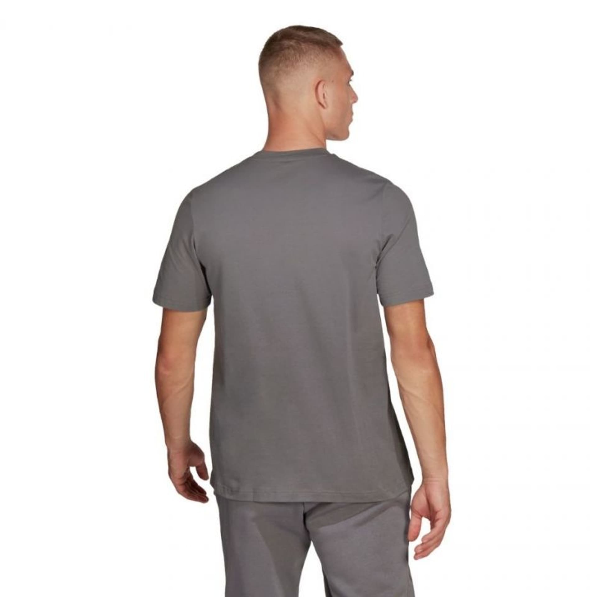 

Koszulka adidas Entrada 22 Tee M HC0449 (kolor Szary/Srebrny, rozmiar M)