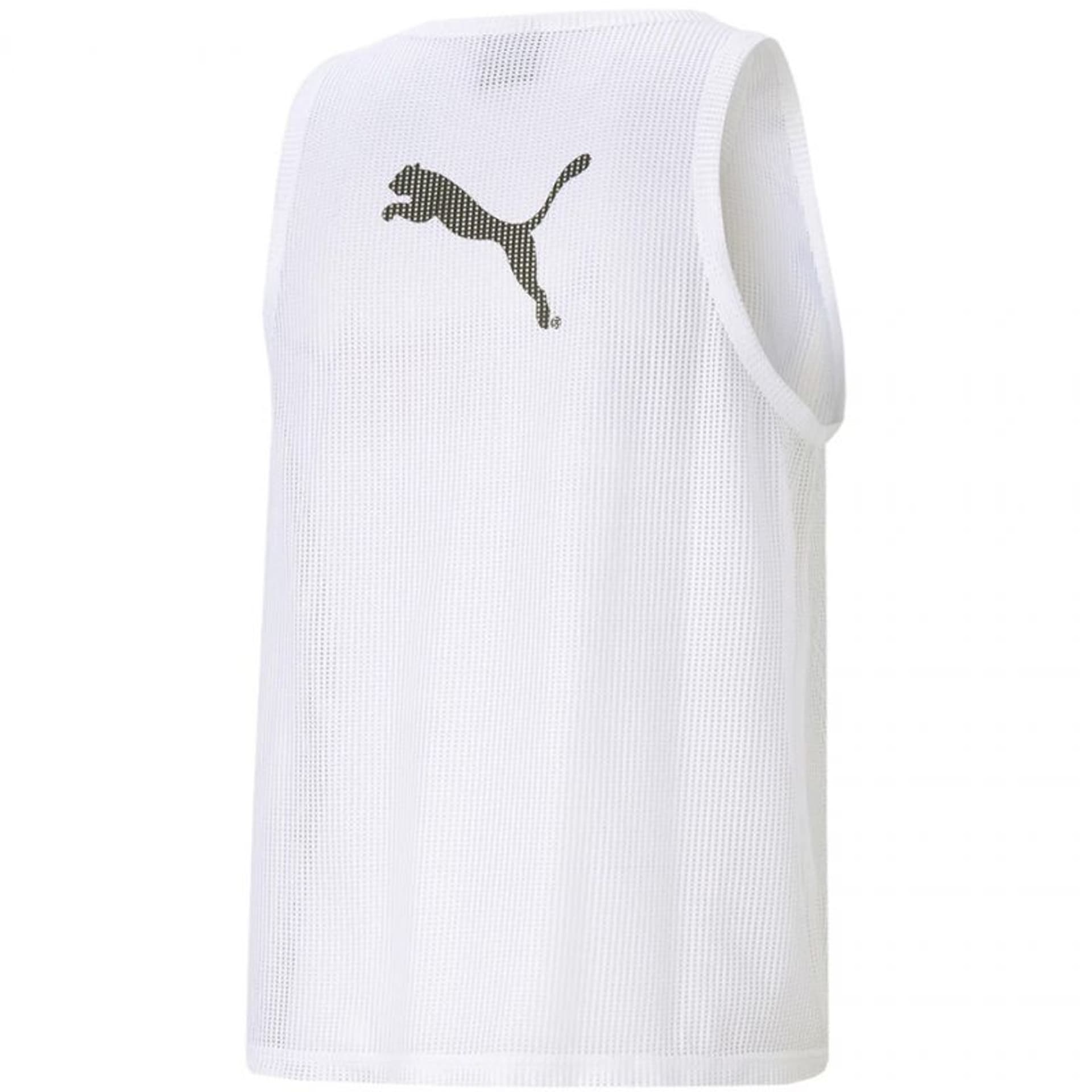 

Koszulka Puma Bib M 657251 (kolor Biały, rozmiar 2 XL)