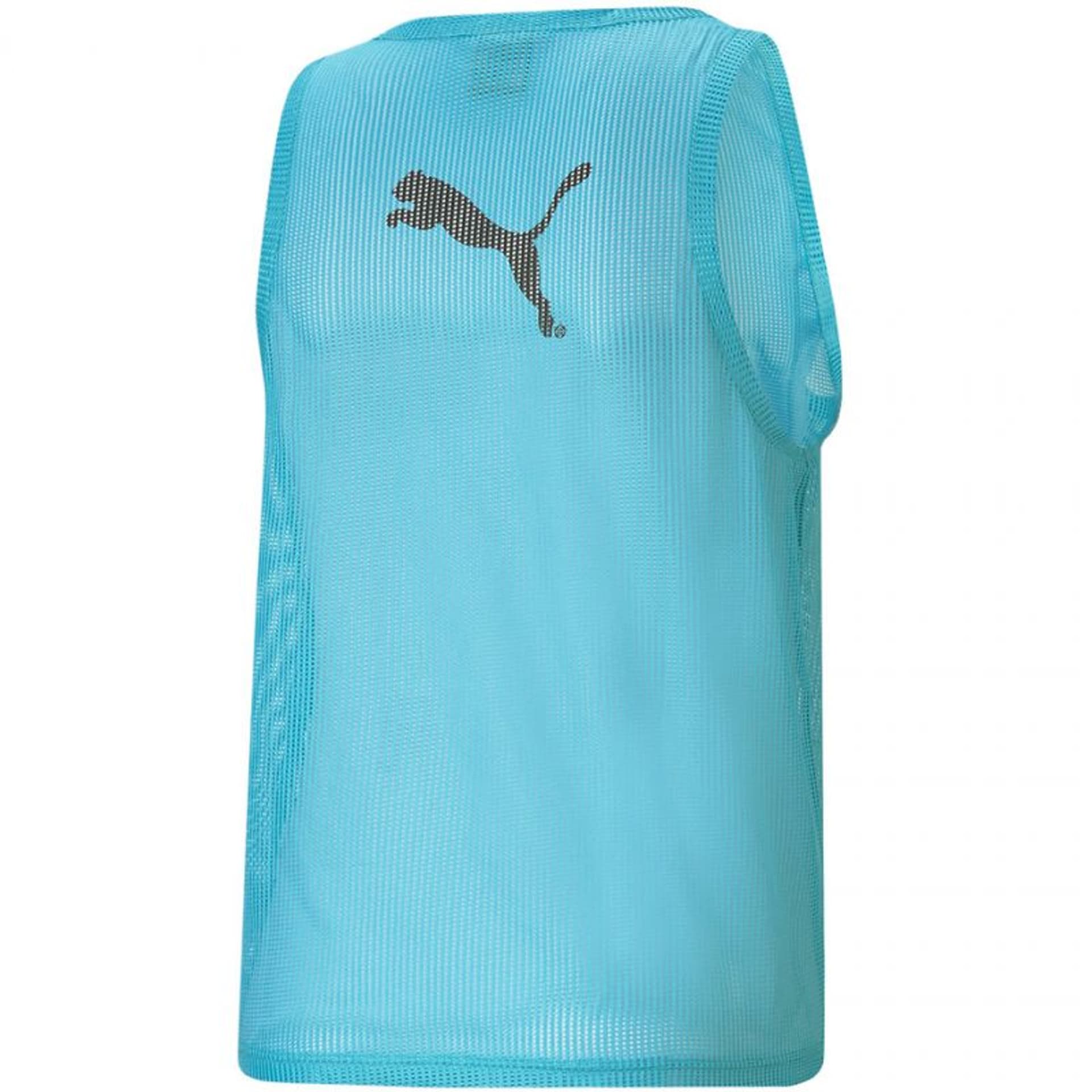 

Koszulka Puma Bib M 657251 (kolor Niebieski, rozmiar M)