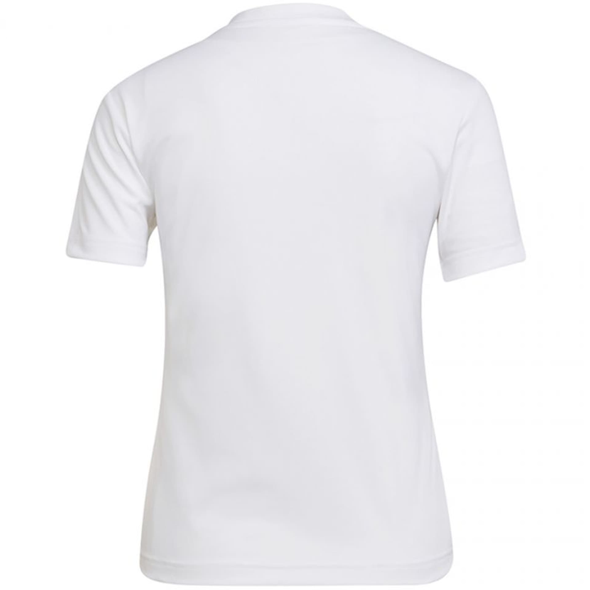 

Koszulka adidas Entrada 22 Jersey W (kolor Biały, rozmiar S)