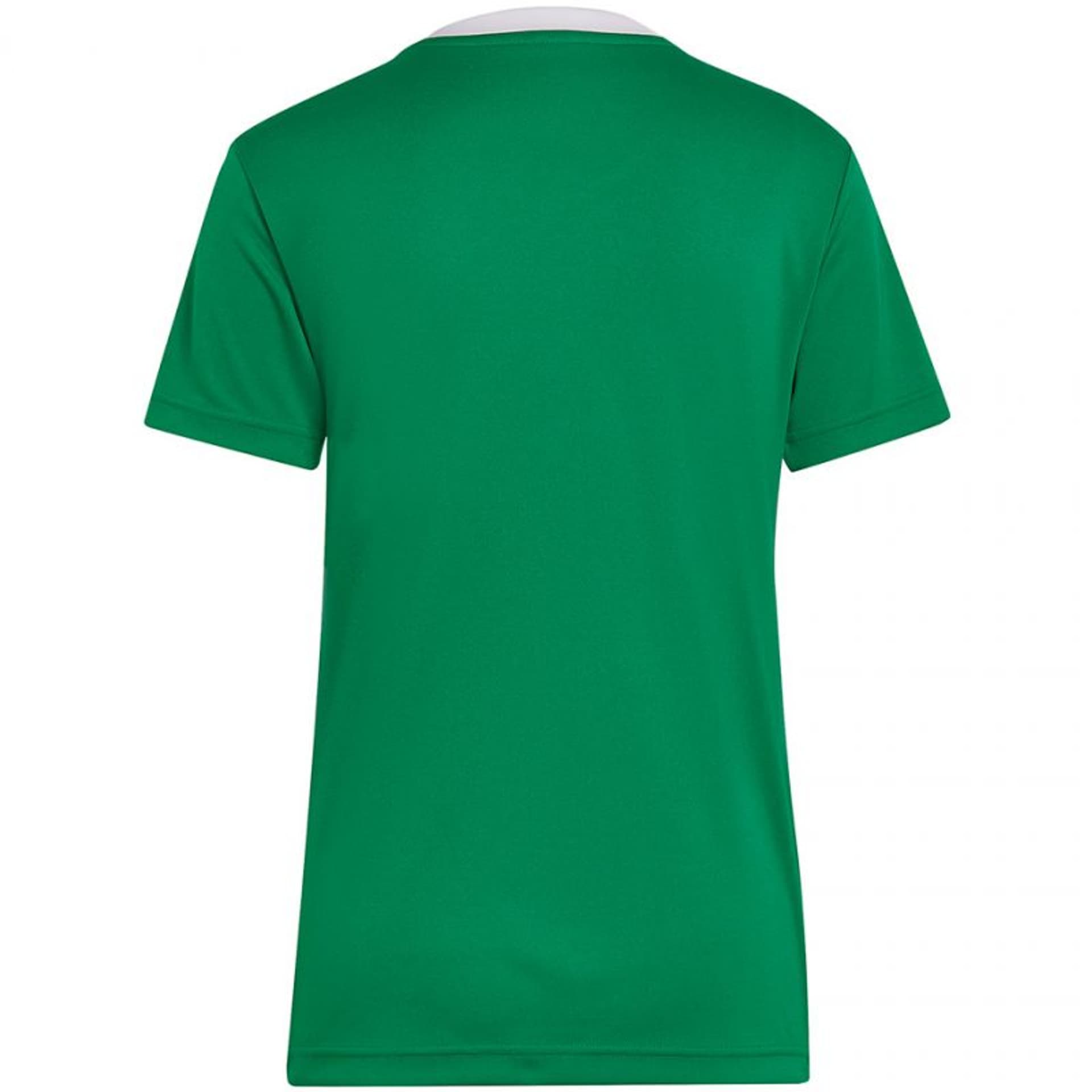 

Koszulka adidas Entrada 22 Jersey W (kolor Zielony, rozmiar L)