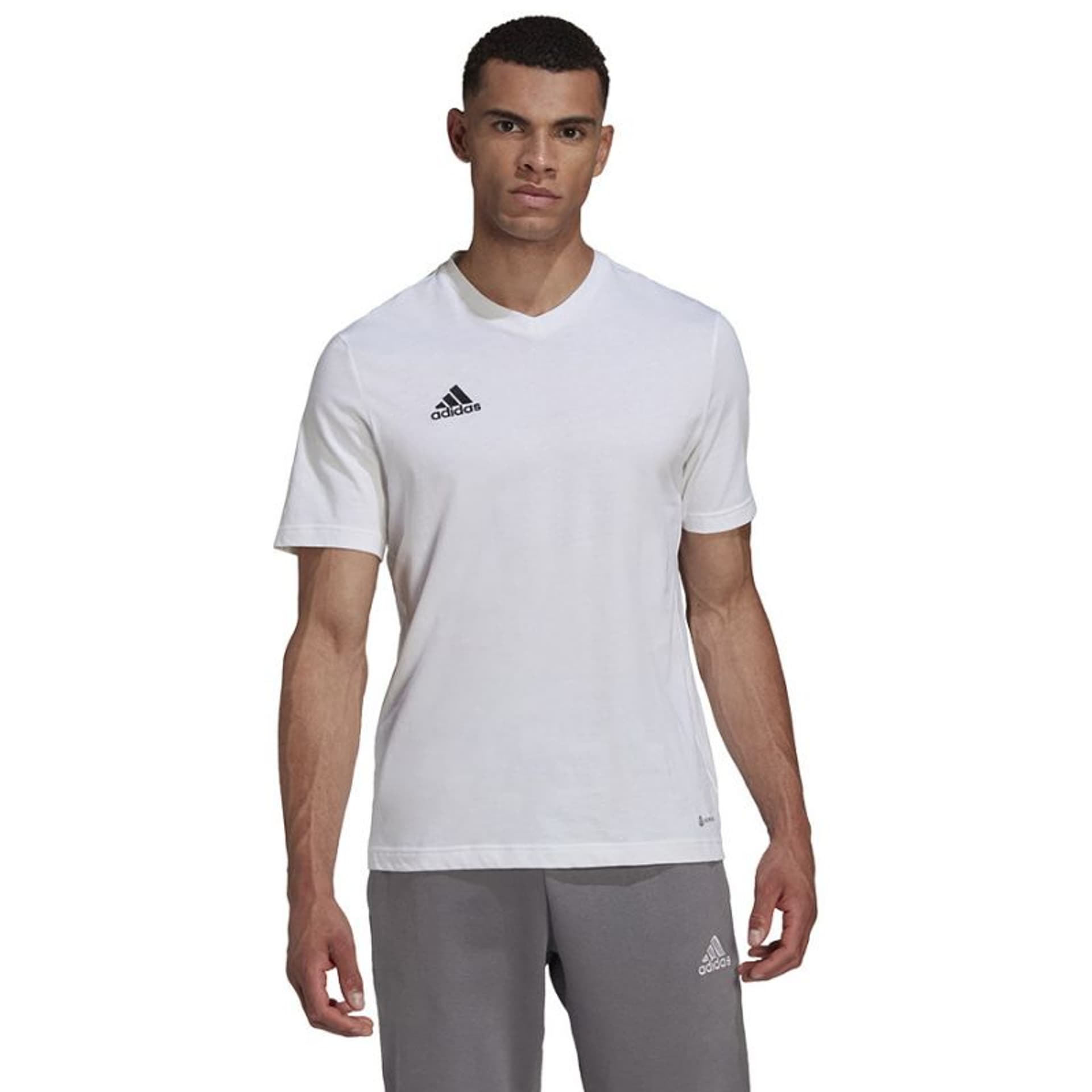 

Koszulka adidas Entrada 22 Tee M (kolor Biały, rozmiar S)
