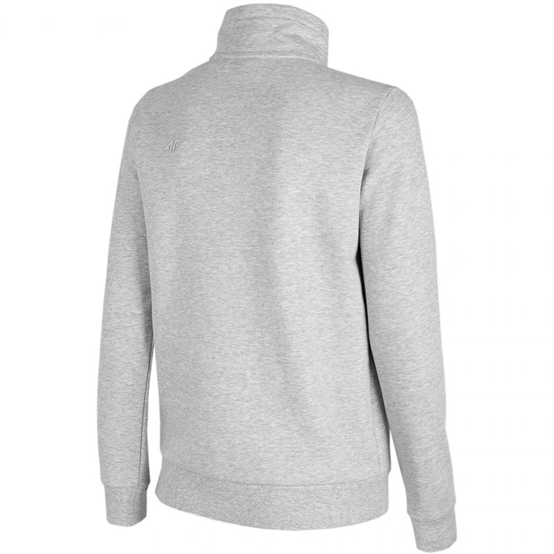 

Bluza 4F W H4L22 BLD351 (kolor Szary/Srebrny, rozmiar XL)