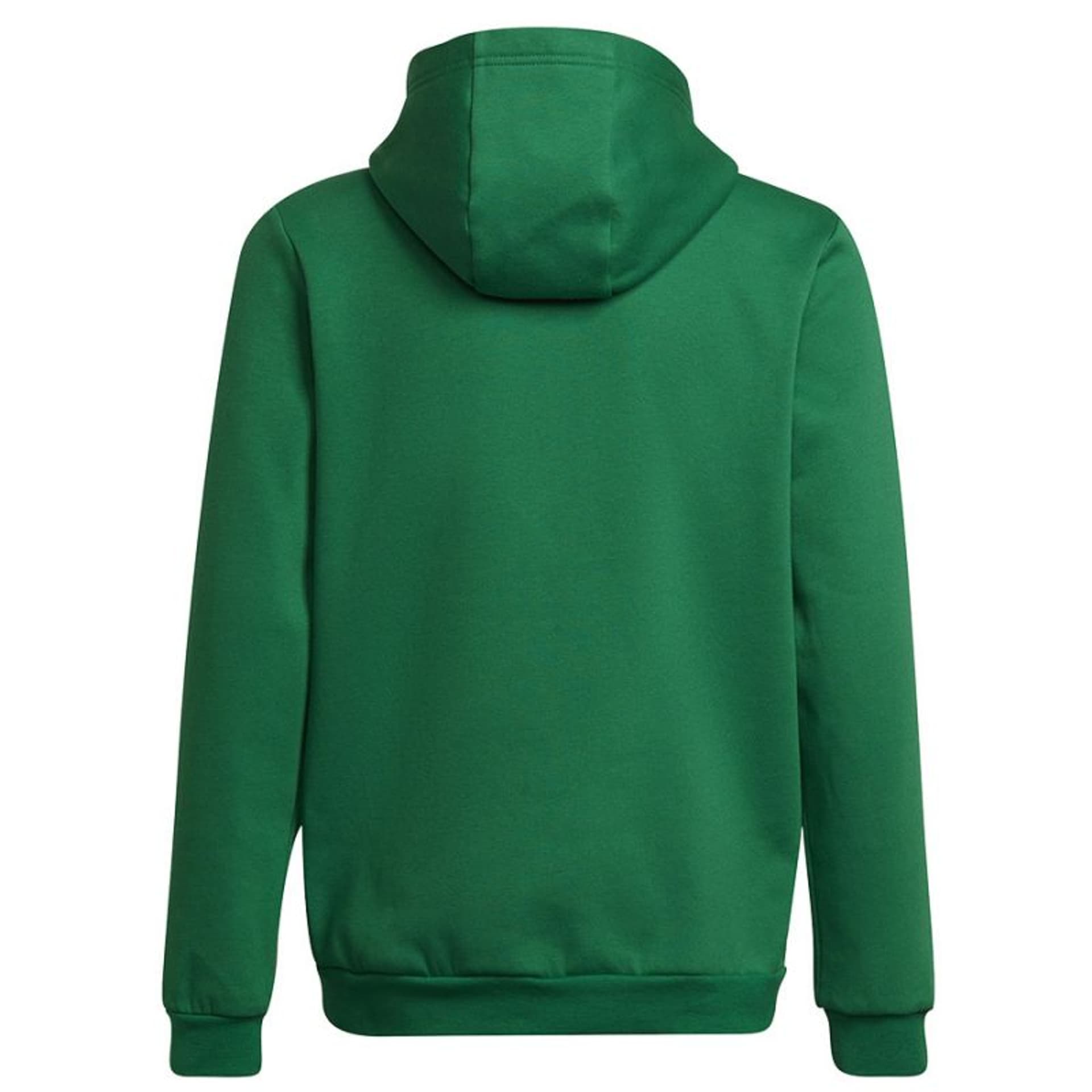 

Bluza adidas Entrada 22 Hoody Jr (kolor Zielony