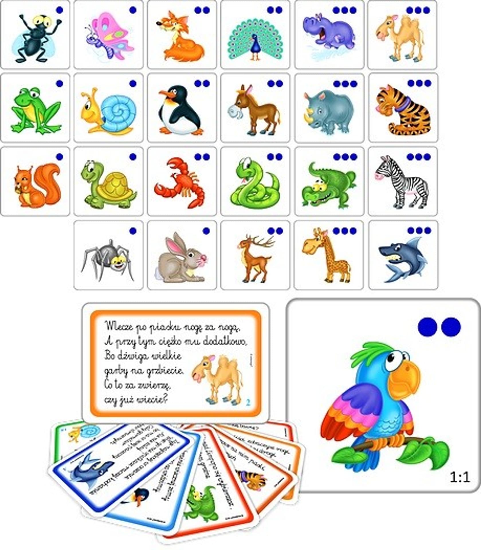

Gra Zagadkowe zoo mini