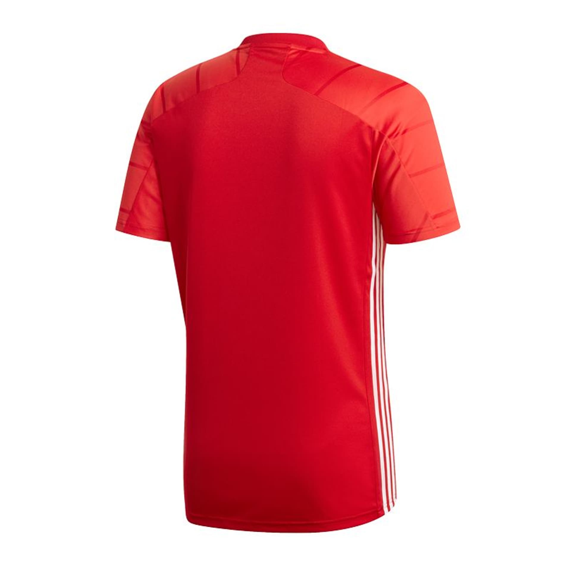 

Koszulka adidas Campeon 21 M FT6763 (kolor Czerwony, rozmiar XL)