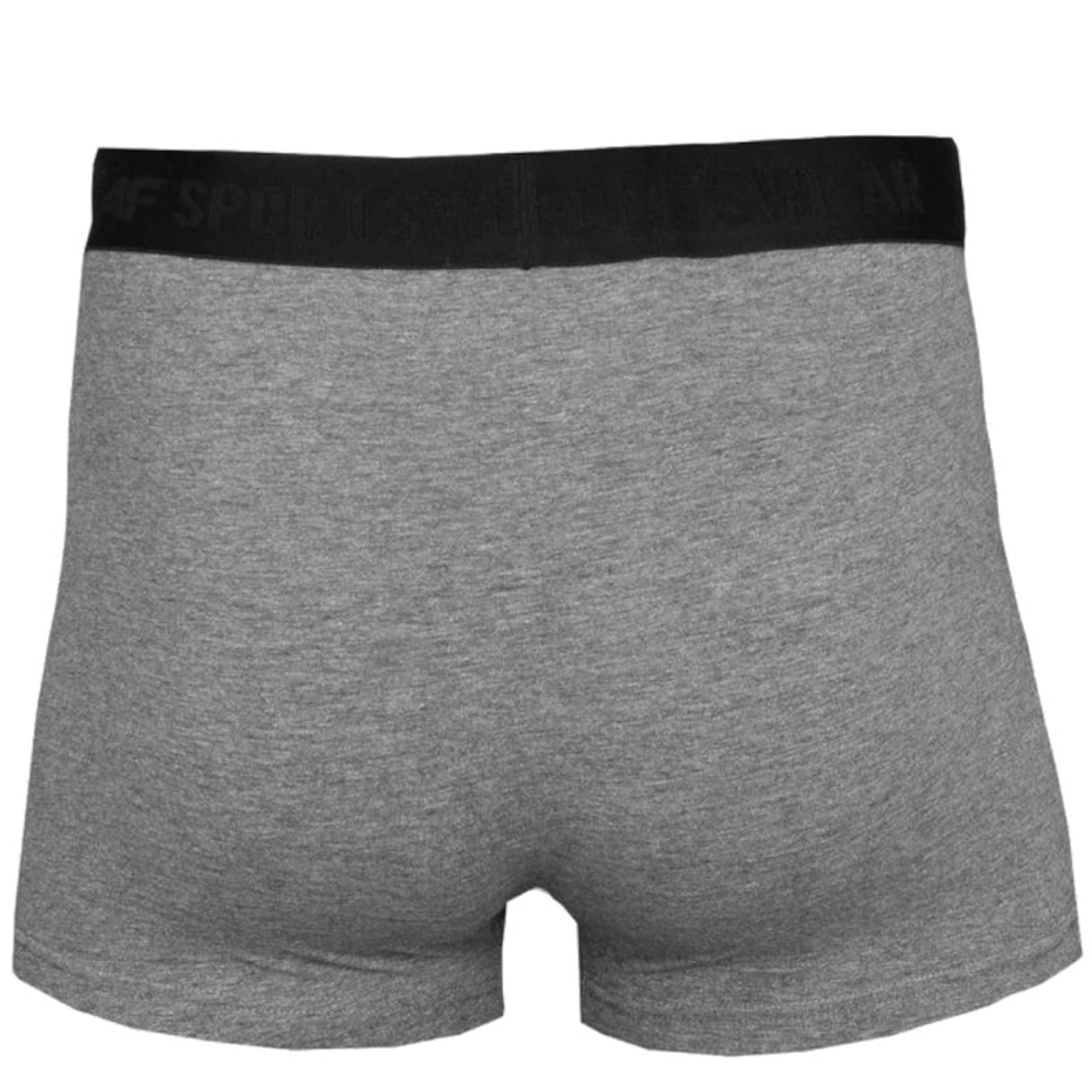 

Bokserki 4F Men's Briefs M H4L22-BIM350 (kolor Szary/Srebrny, rozmiar S)