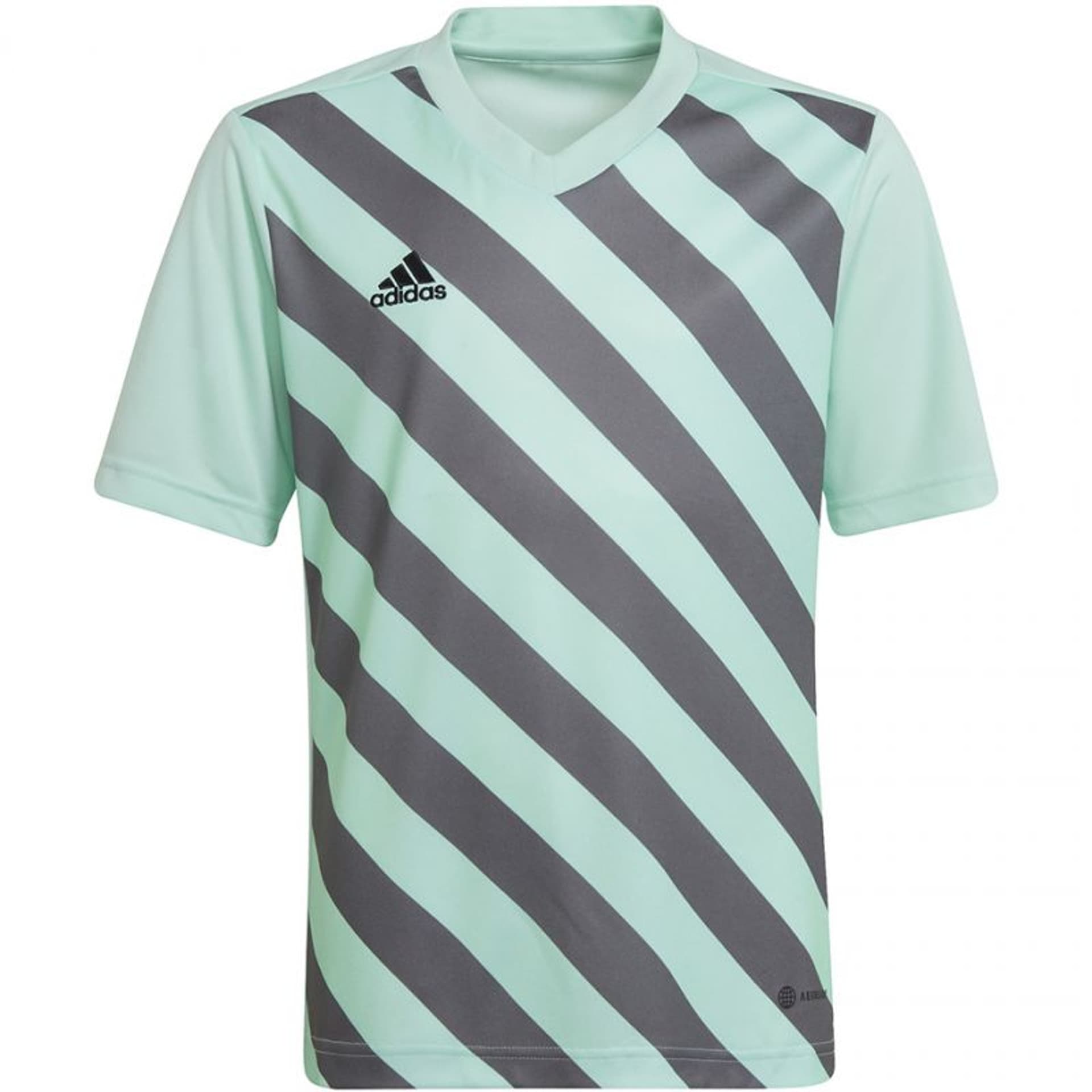 

Koszulka adidas Entrada 22 Graphic Jersey Jr (kolor Zielony. Szary/Srebrny