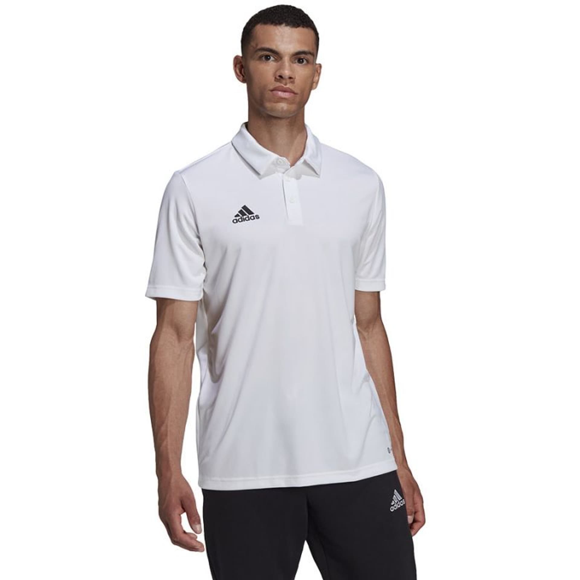 

Koszulka adidas Entrada 22 Polo M (kolor Biały, rozmiar S)