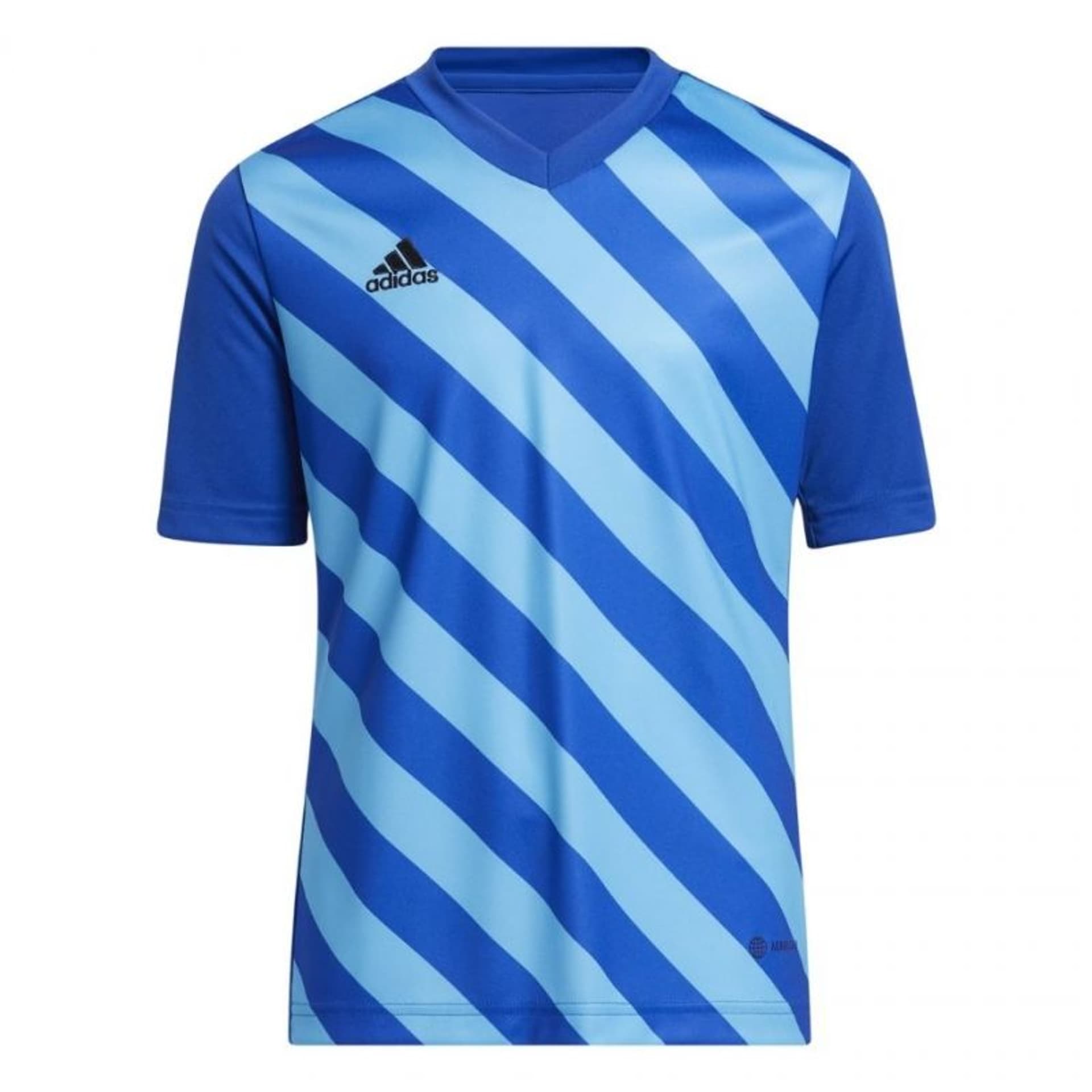 

Koszulka adidas Entrada 22 Graphic Jersey Jr (kolor Niebieski, rozmiar 128cm)