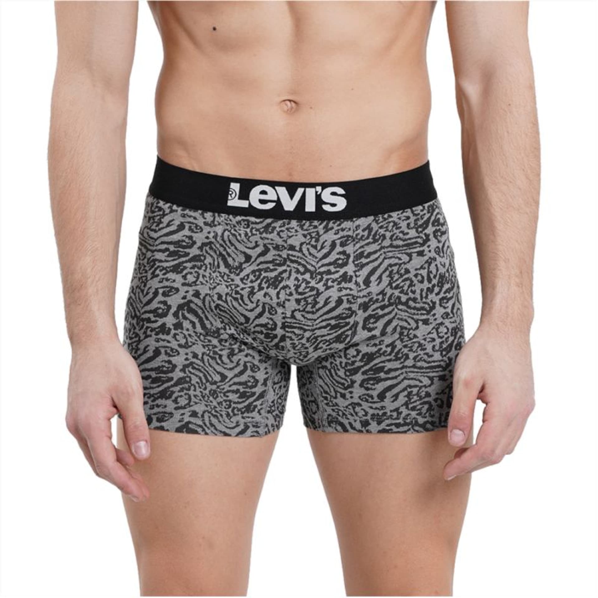

Bokserki Levi's Boxer 2 Pairs Briefs M 37149 (kolor Szary/Srebrny, rozmiar S)