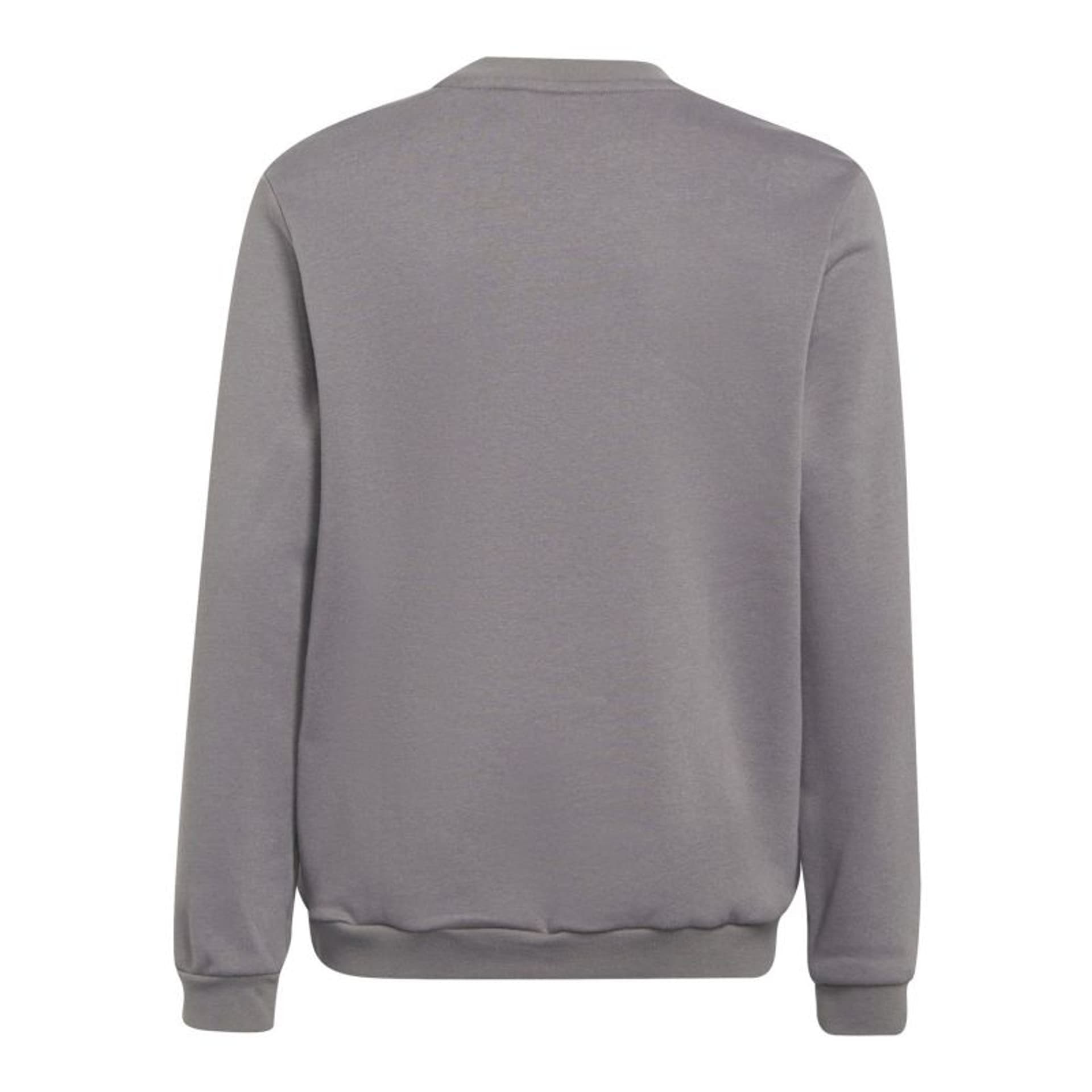 

Bluza adidas Entrada 22 Sweat Top Jr (kolor Szary/Srebrny, rozmiar 152)