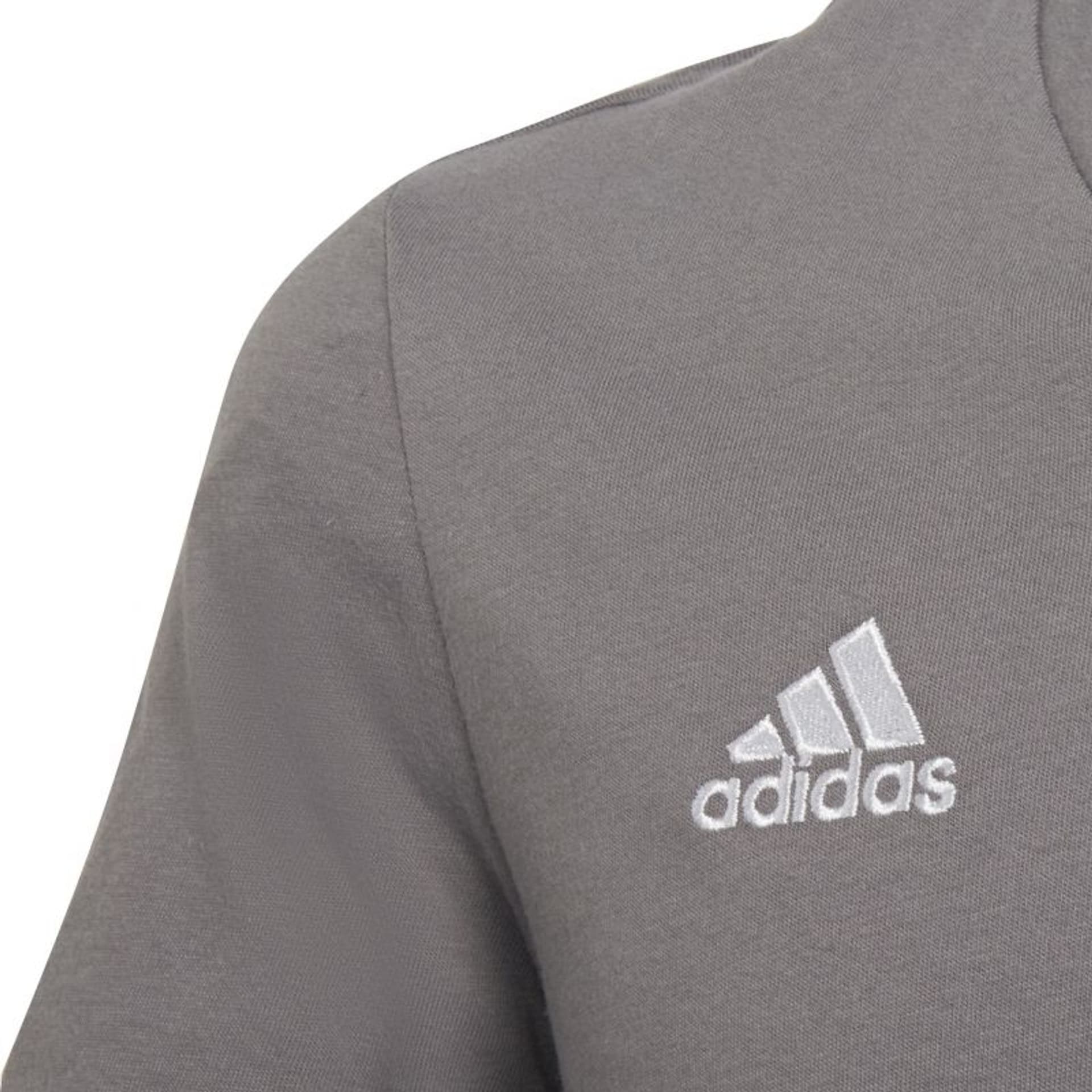 

Koszulka adidas Entrada 22 Jr (kolor Szary/Srebrny, rozmiar 128)