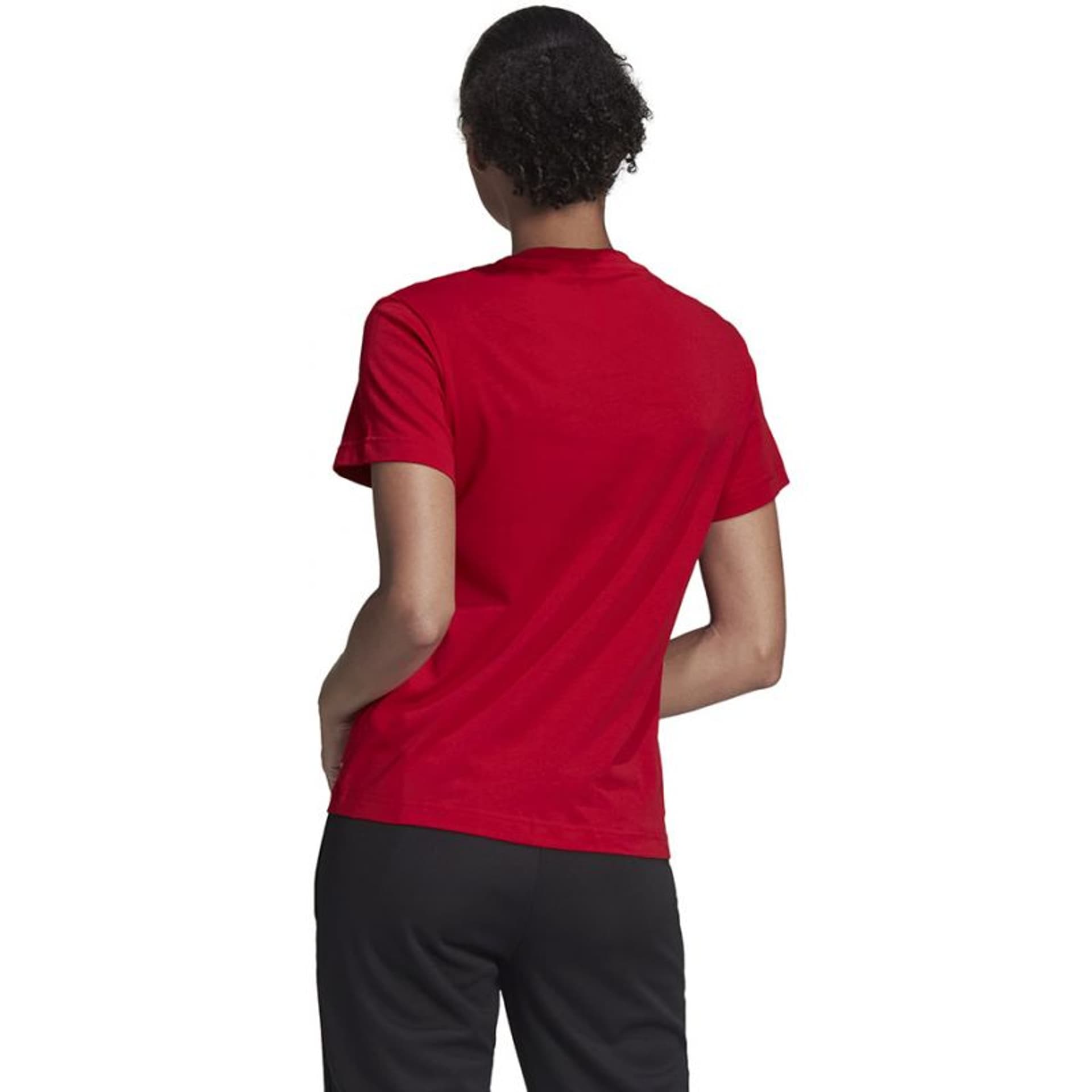 

Koszulka adidas Entrada 22 Tee W HC04 (kolor Czerwony, rozmiar S)