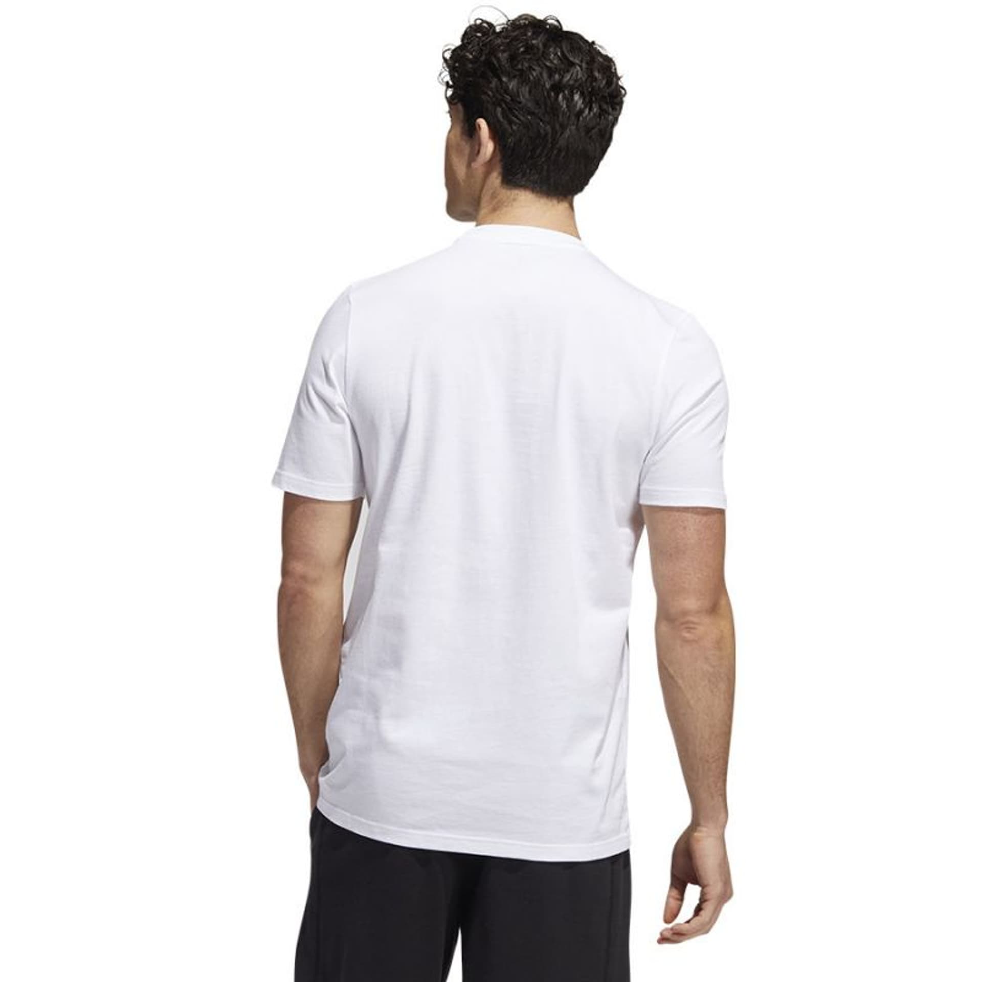 

Koszulka adidas Skt Ph G Tee M (kolor Biały, rozmiar M)