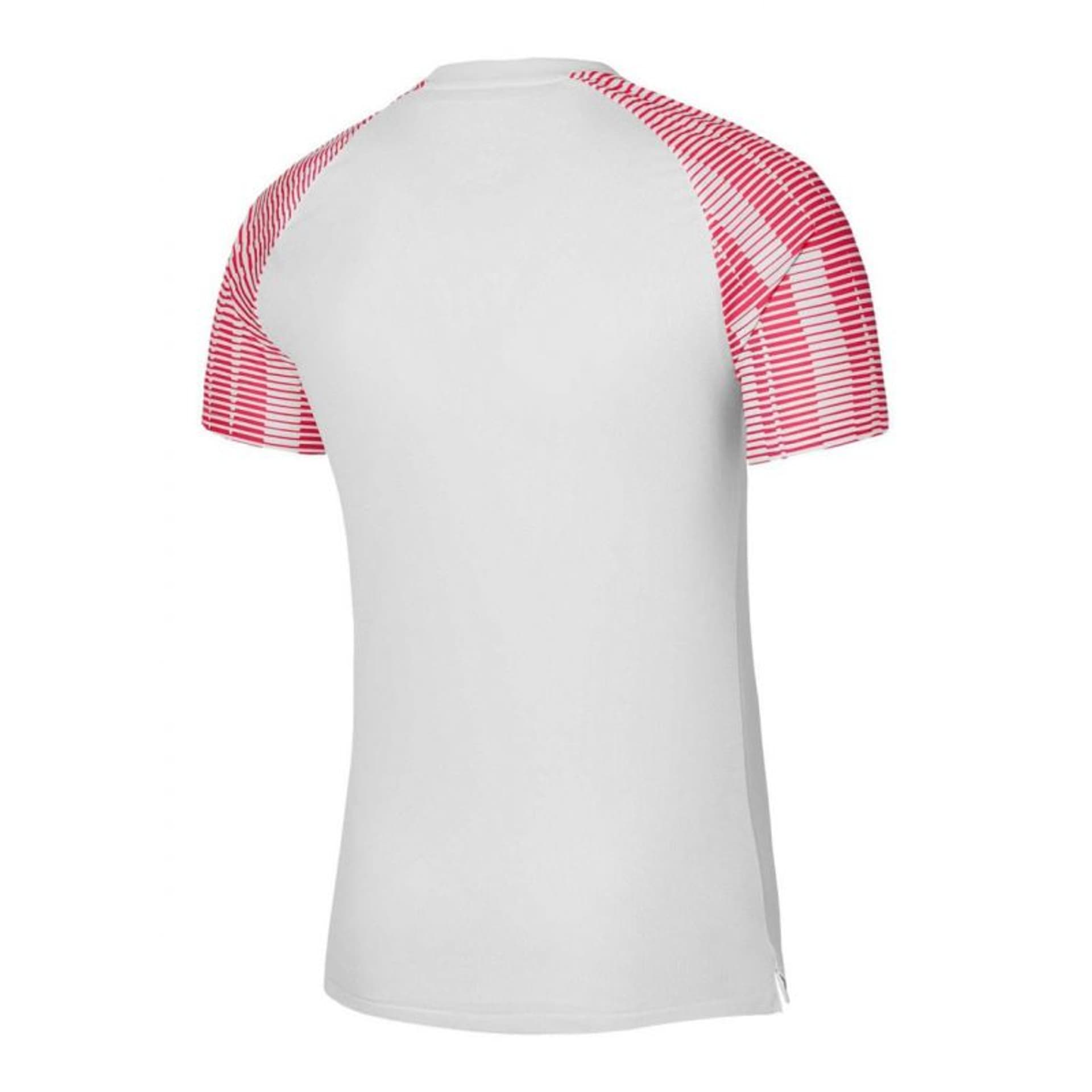 

Koszulka Nike Academy Jr DH8369 (kolor Biały, rozmiar M (137-147cm))