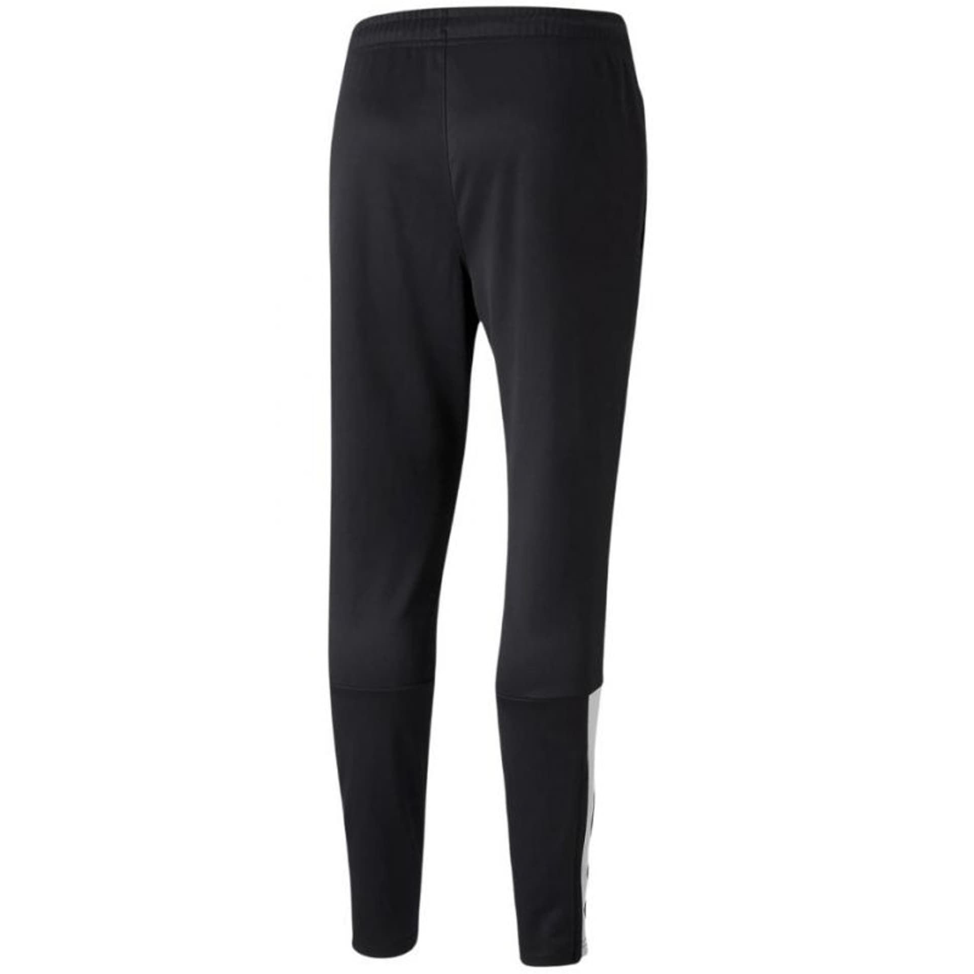 

Spodnie Puma teamLiga Training Pants M 657242 (kolor Czarny, rozmiar M)