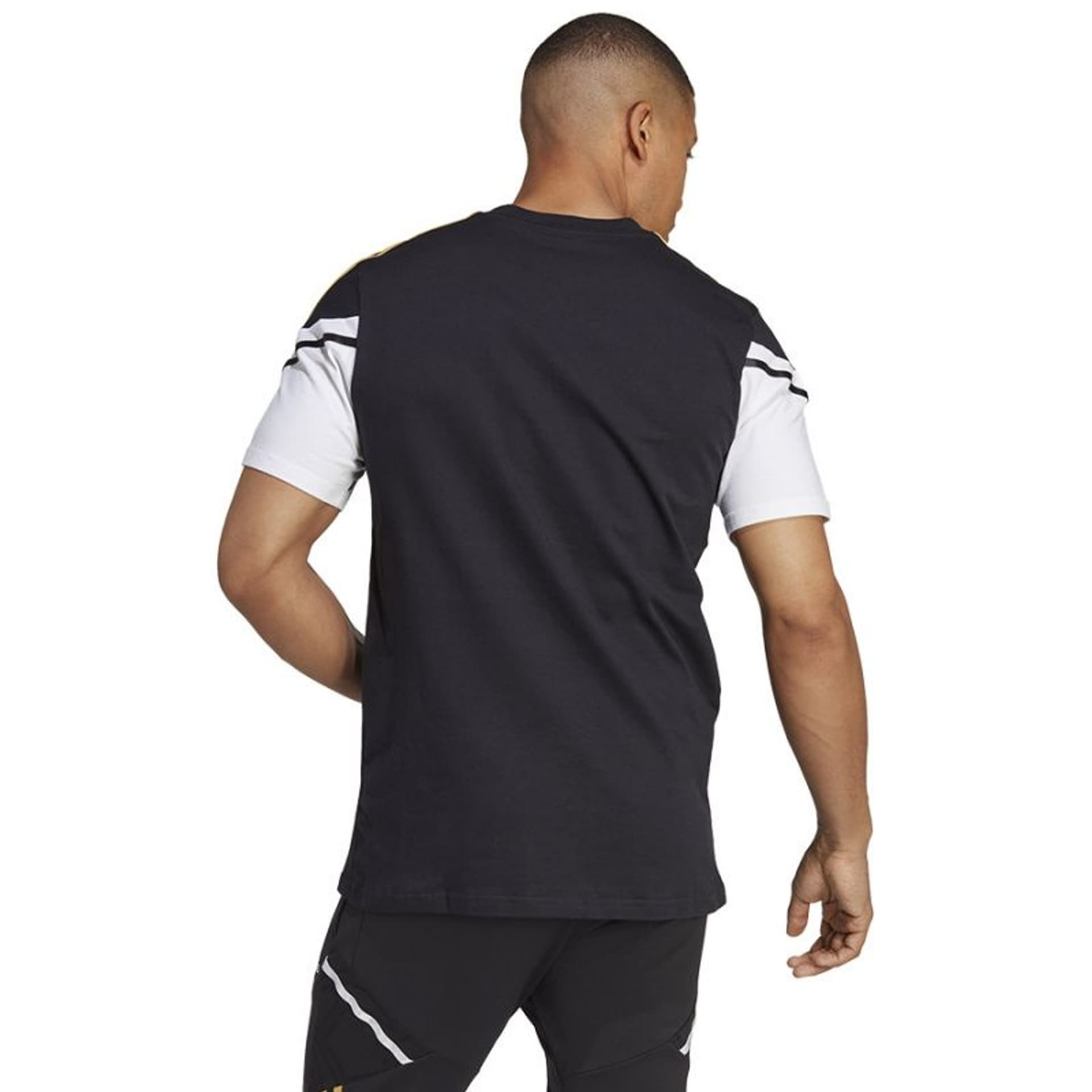 

Koszulka adidas Juventus TR Tee M (kolor Czarny, rozmiar L)