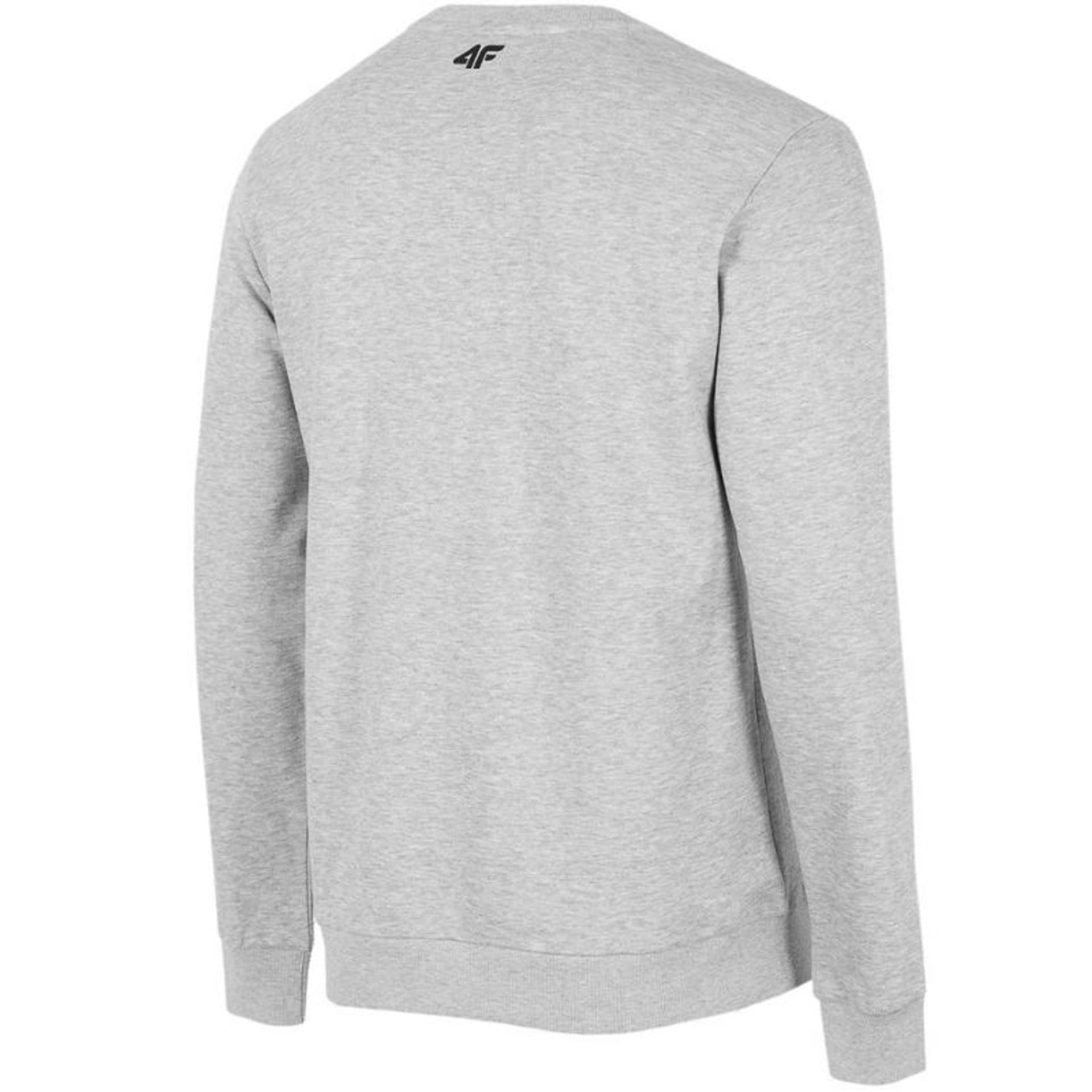 

Bluza 4F M H4Z22 BLM350 (kolor Szary/Srebrny, rozmiar L)