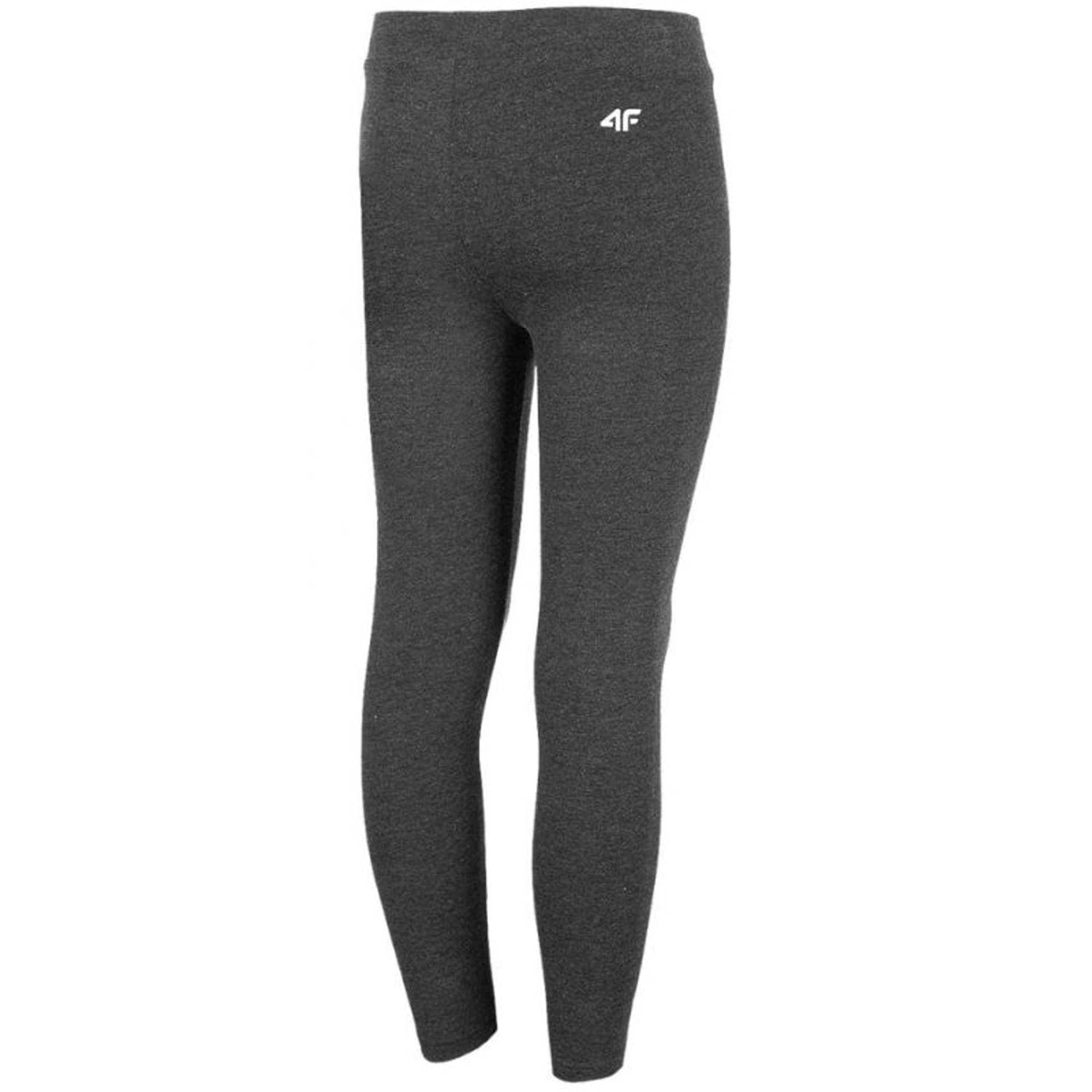

Legginsy 4F Jr HJZ22 JLEG001 (kolor Szary/Srebrny, rozmiar 164cm)