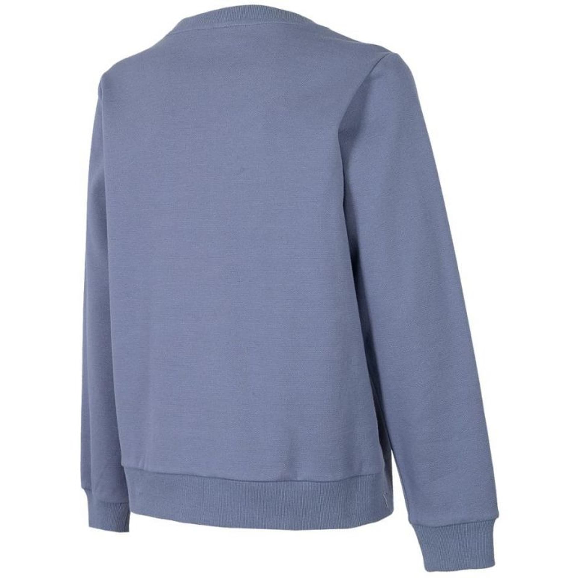 

Bluza 4F W H4Z22 BLD020 (kolor Szary/Srebrny, rozmiar L)