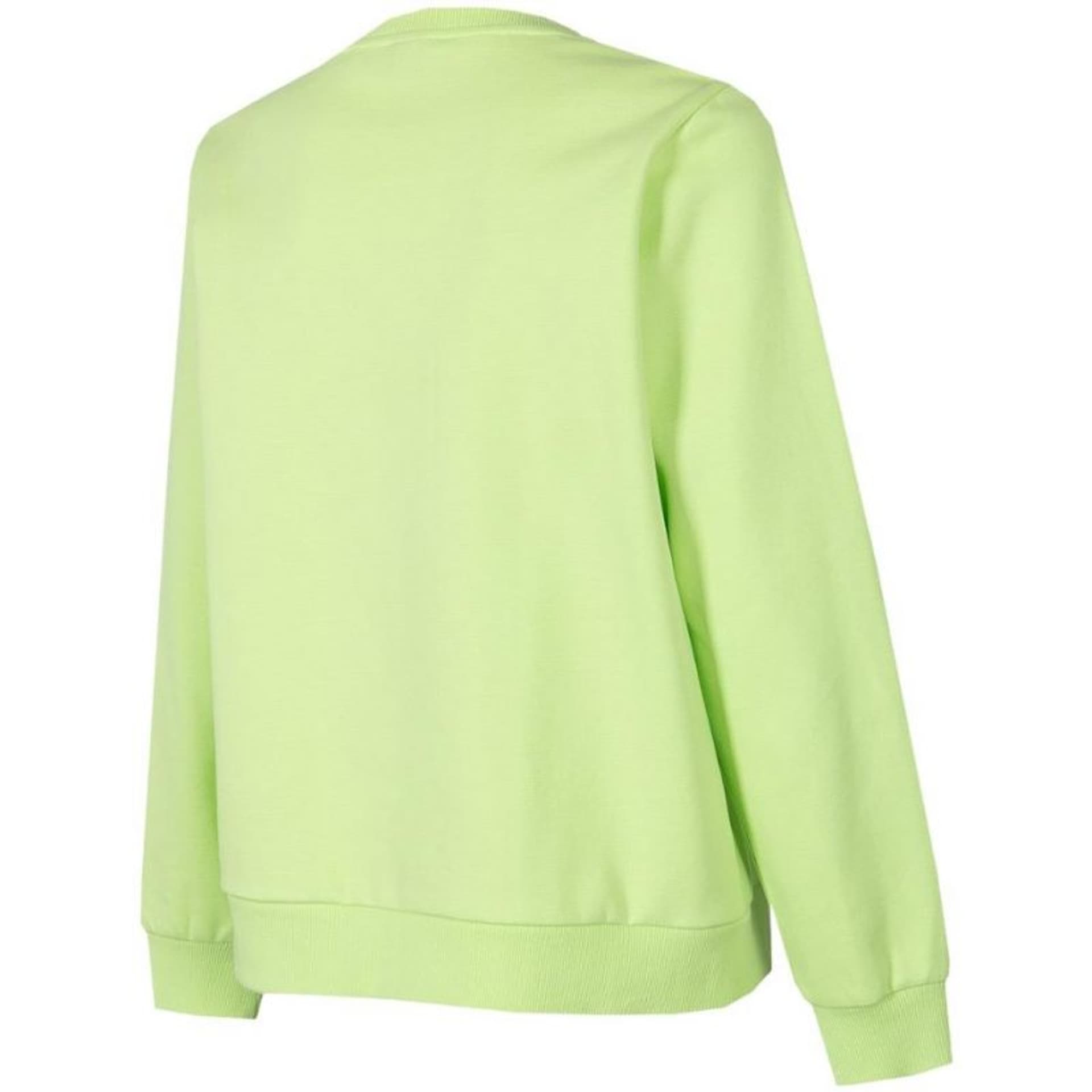 

Bluza 4F W H4Z22 BLD020 (kolor Zielony, rozmiar XL)