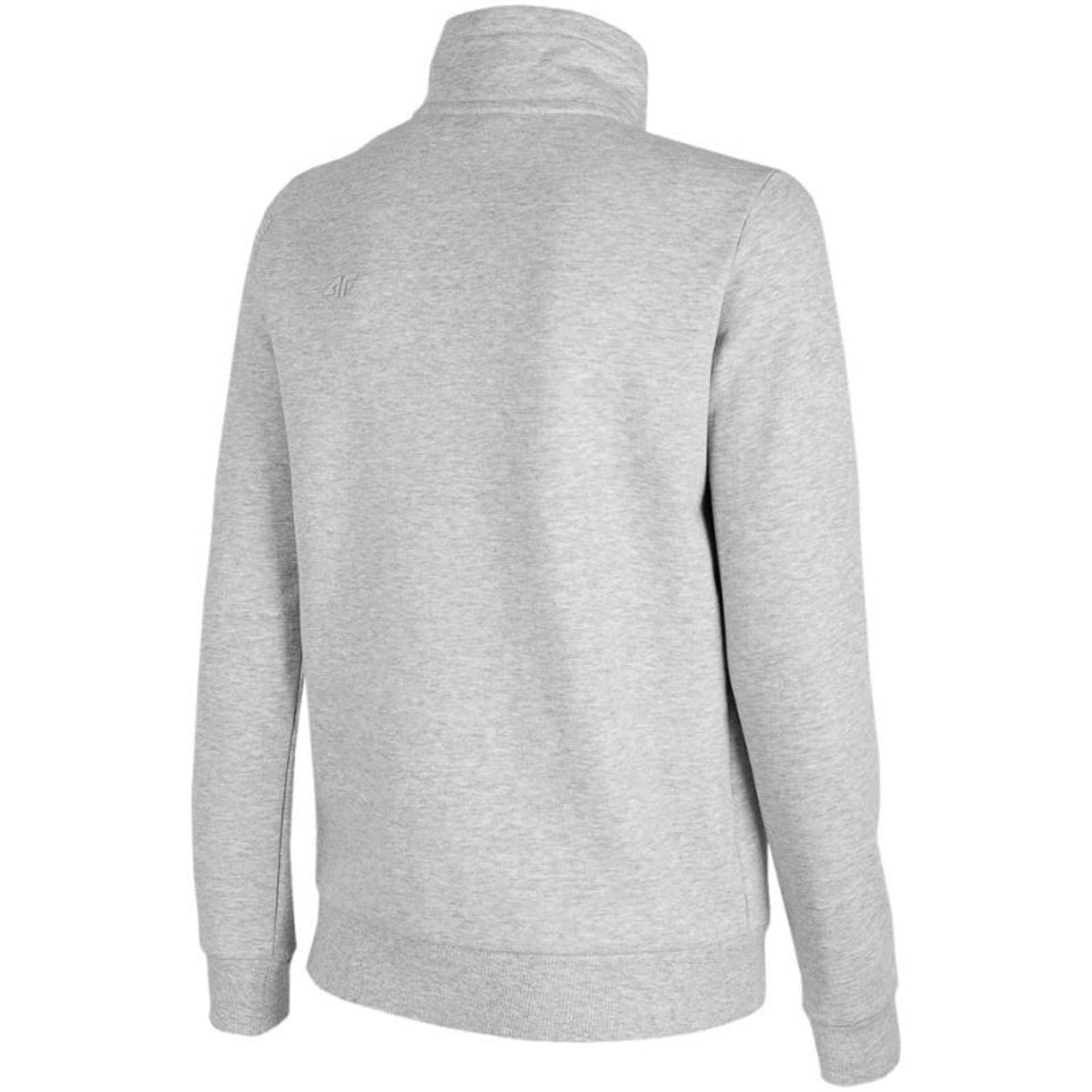 

Bluza 4F W H4Z22 BLD351 (kolor Szary/Srebrny, rozmiar 2XL)