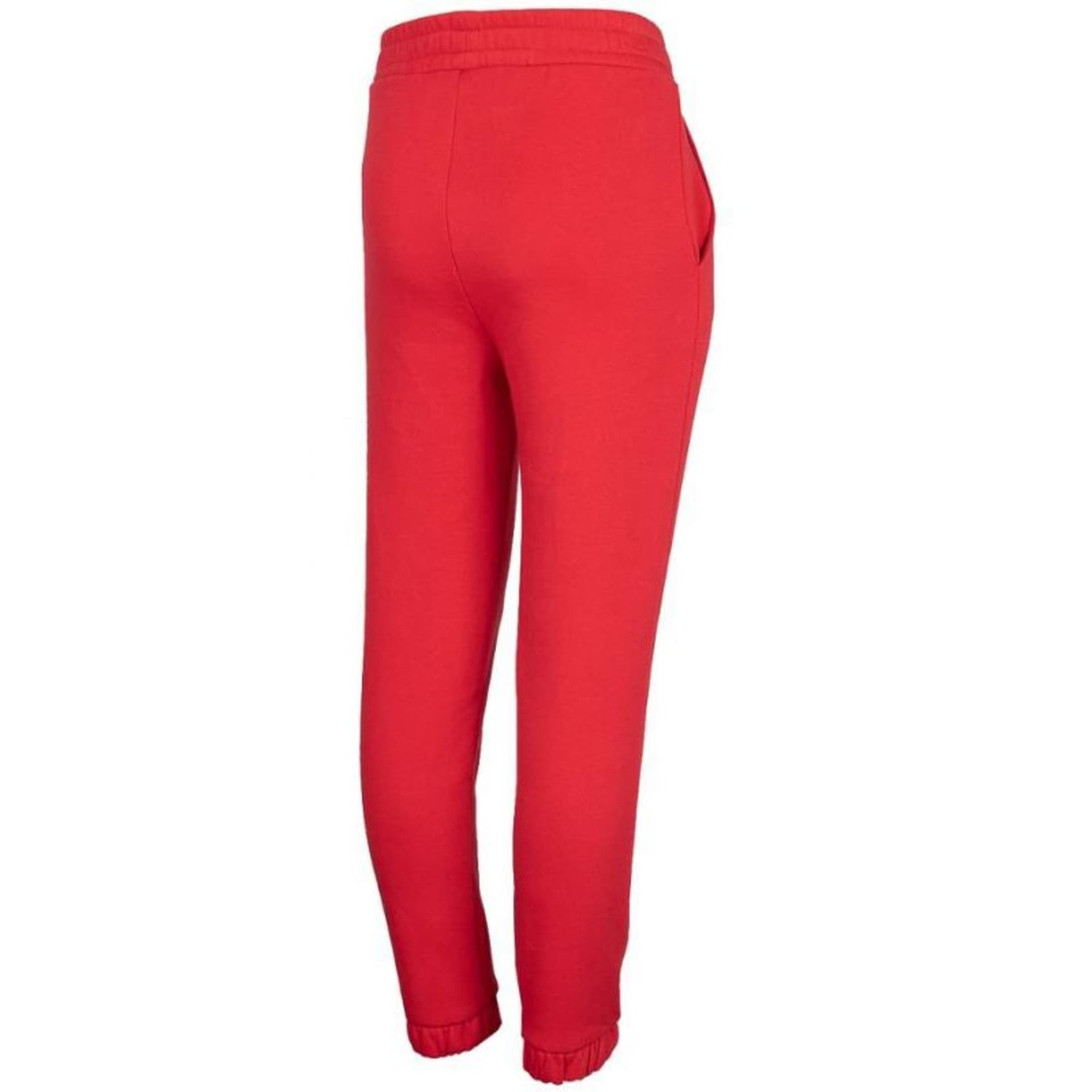 

Spodnie 4F Jr HJZ22 JSPDD002 (kolor Czerwony, rozmiar 152cm)