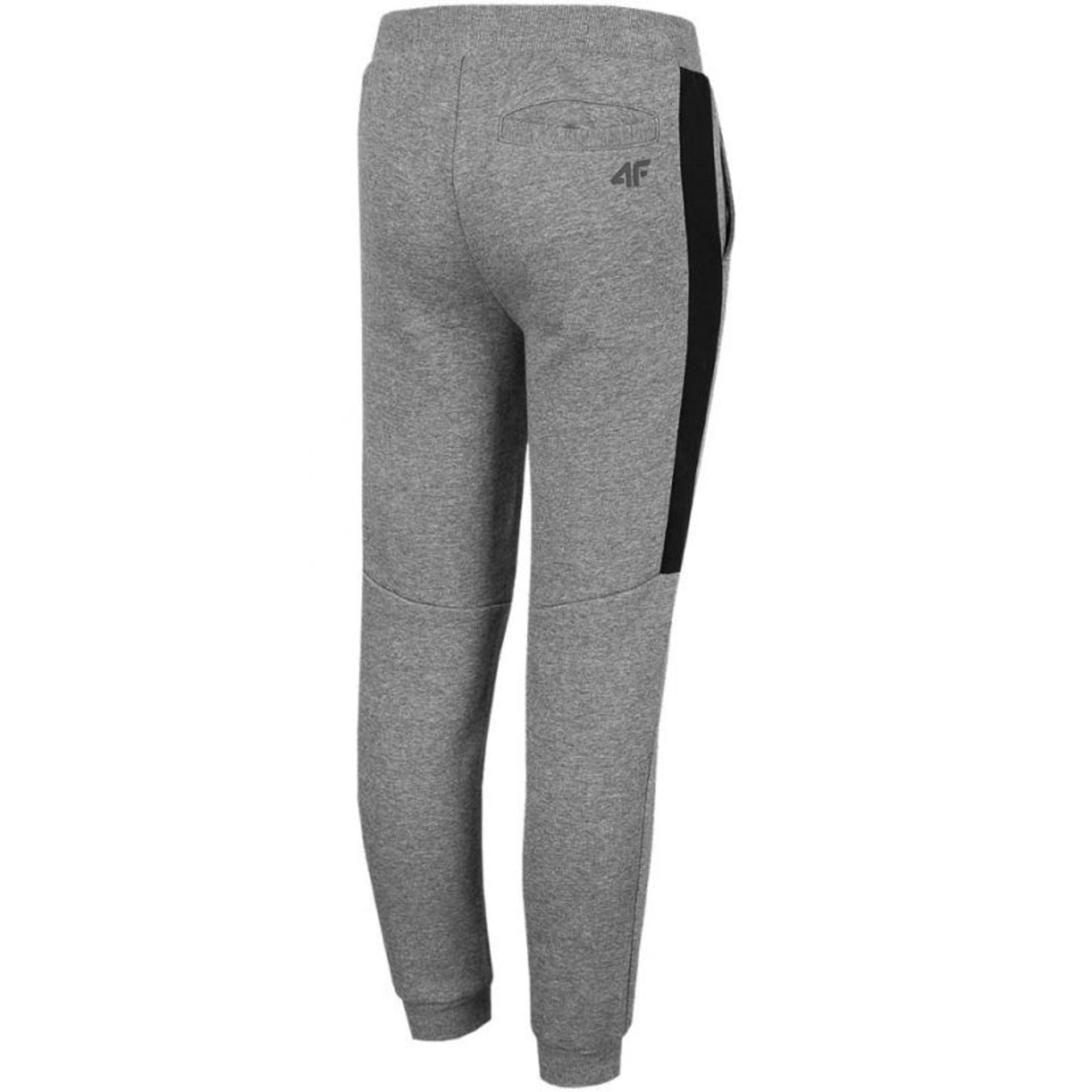 

Spodnie 4F Jr HJZ22 JSPMD002 (kolor Szary/Srebrny, rozmiar 152cm)