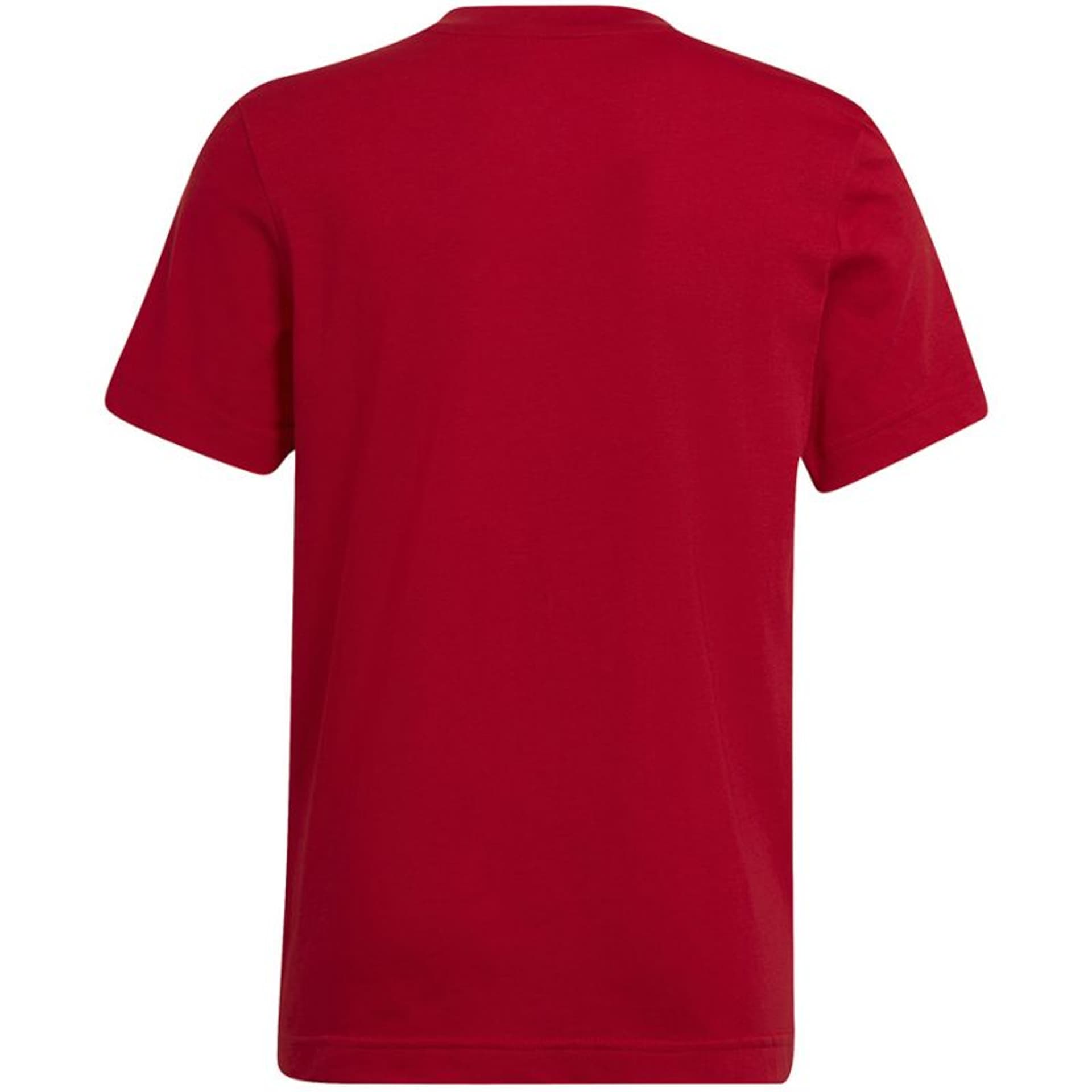 

Koszulka adidas Entrada 22 Tee Jr (kolor Czerwony, rozmiar 116cm)
