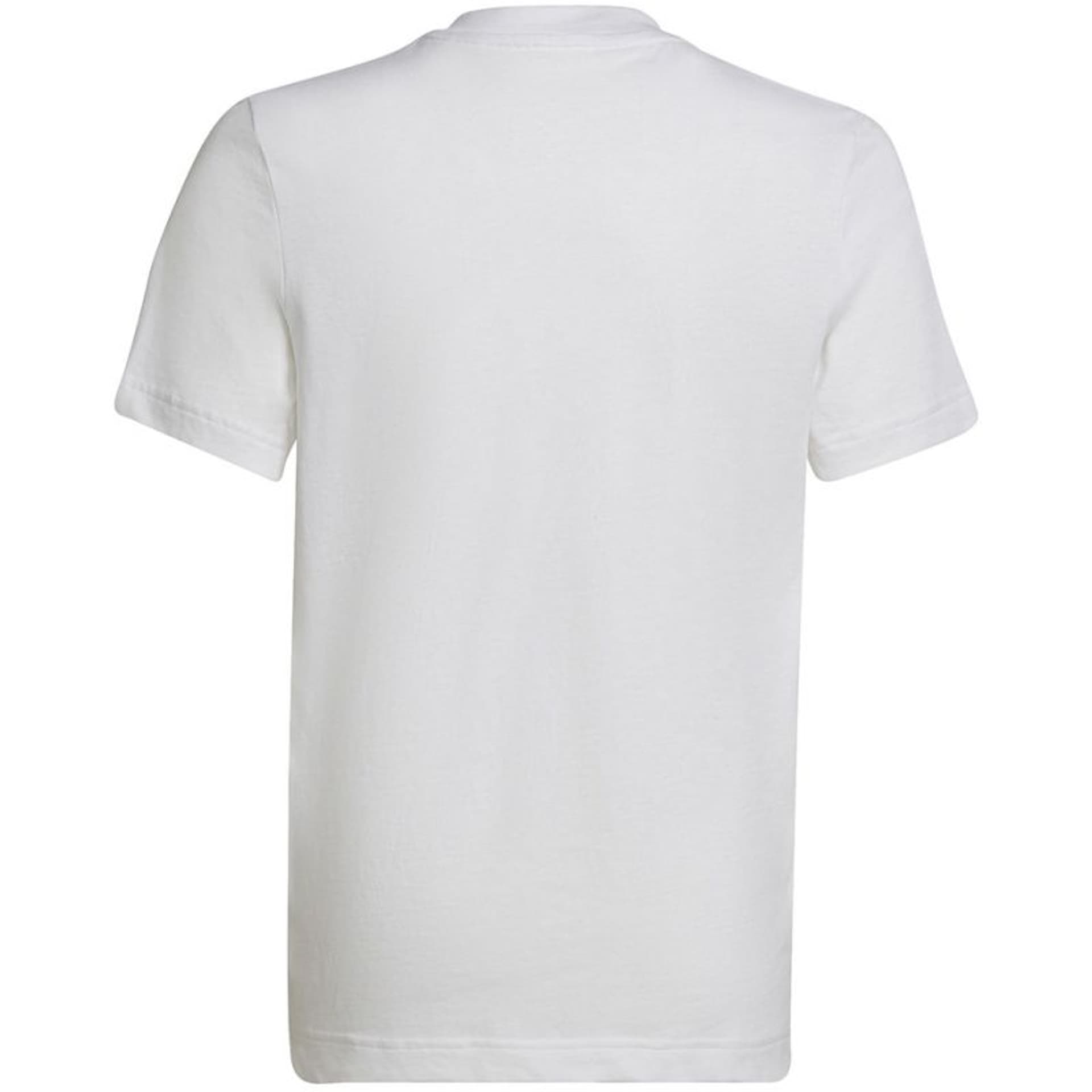 

Koszulka adidas Entrada 22 Tee Jr (kolor Biały, rozmiar 128cm)