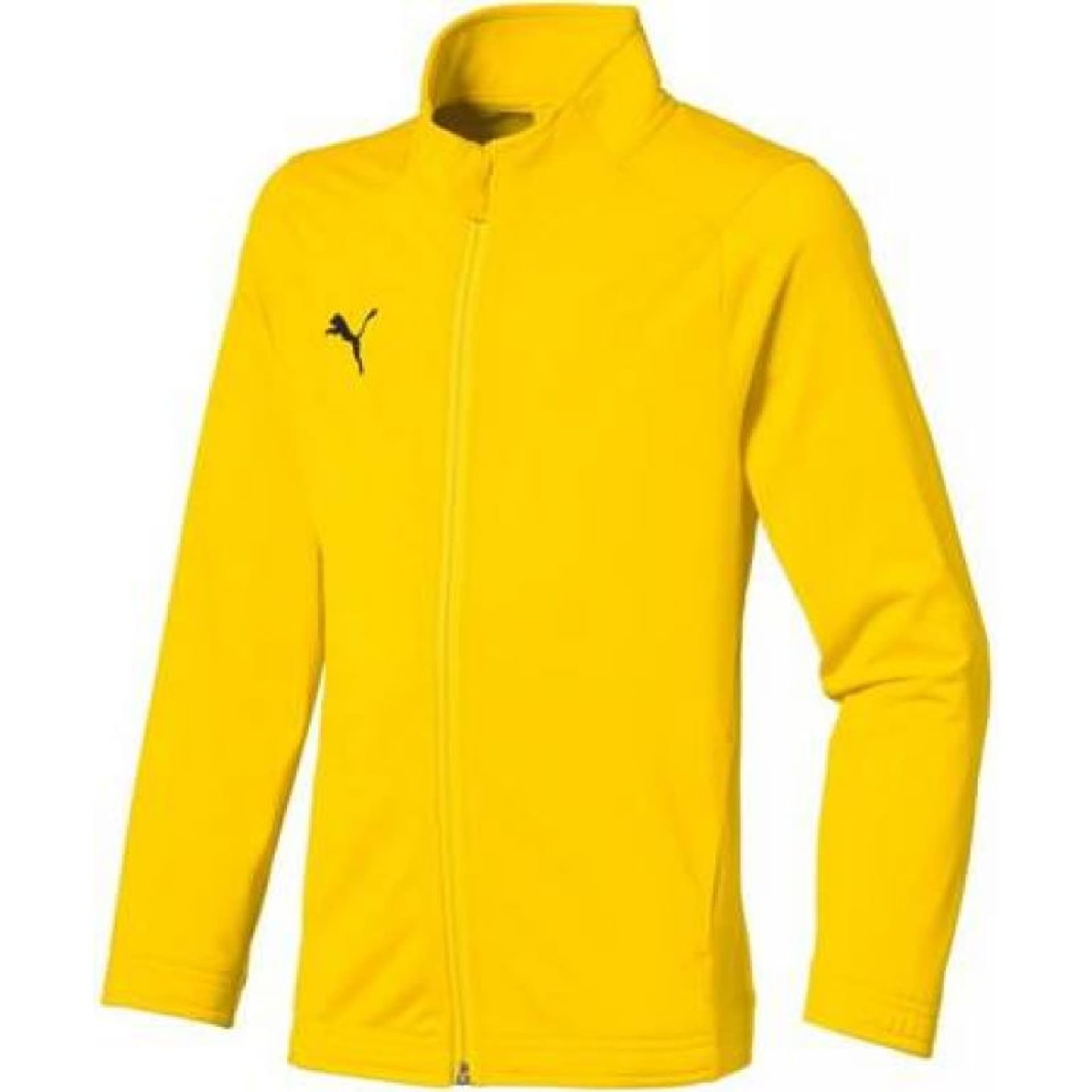 

Bluza Puma Sideline Jr 655947 (kolor Żółty, rozmiar 152)