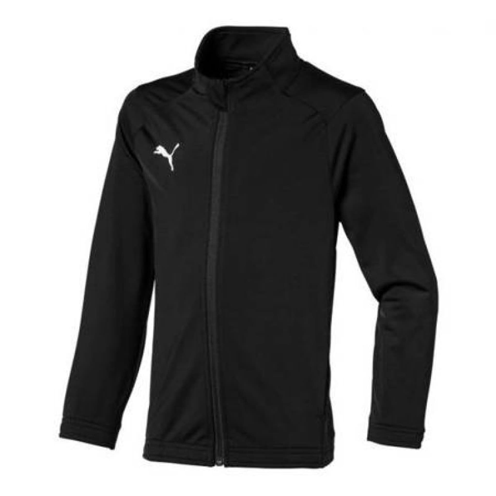 

Bluza Puma Sideline Jr 655947 (kolor Czarny)