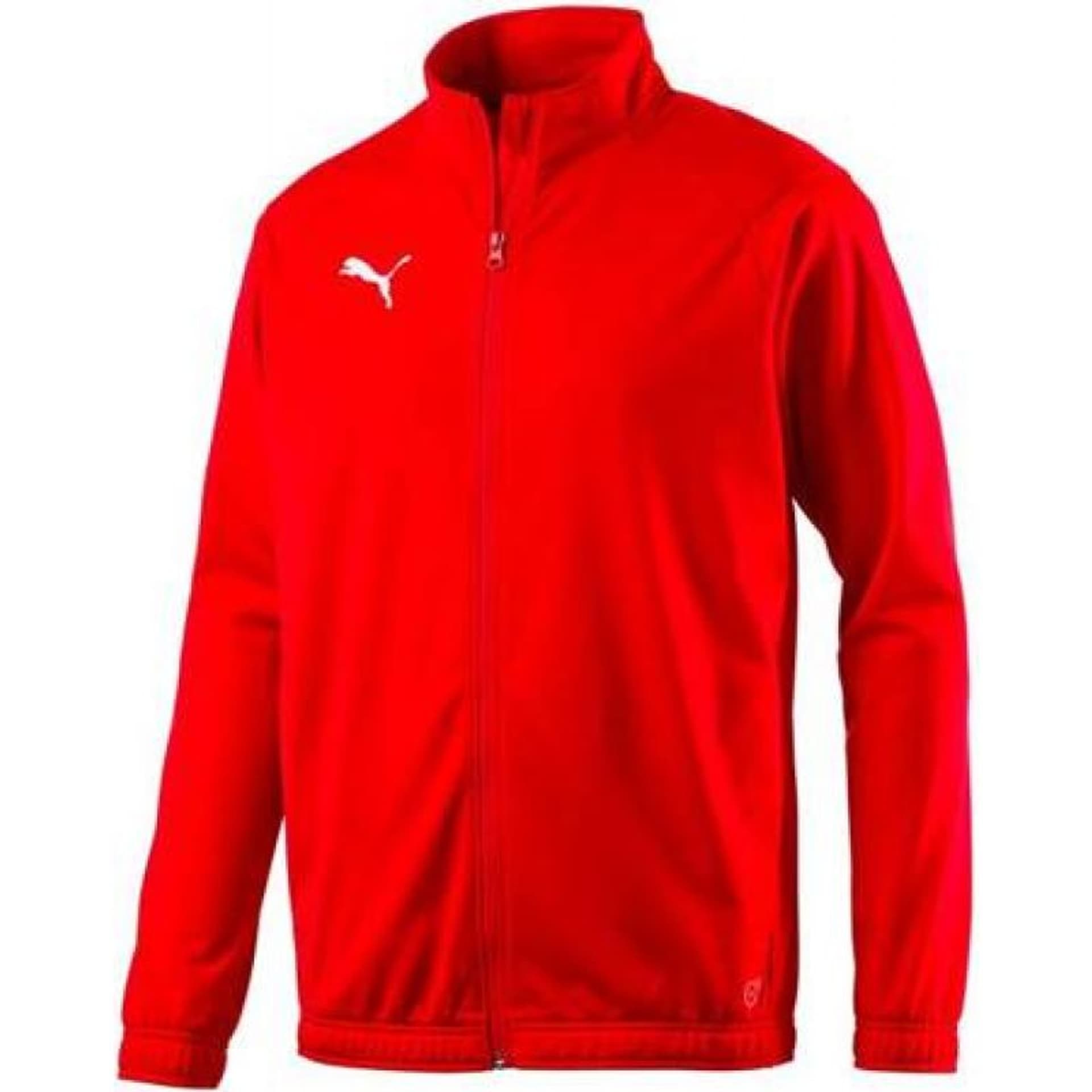 

Bluza Puma Sideline Jr 655947 (kolor Czerwony, rozmiar 140)