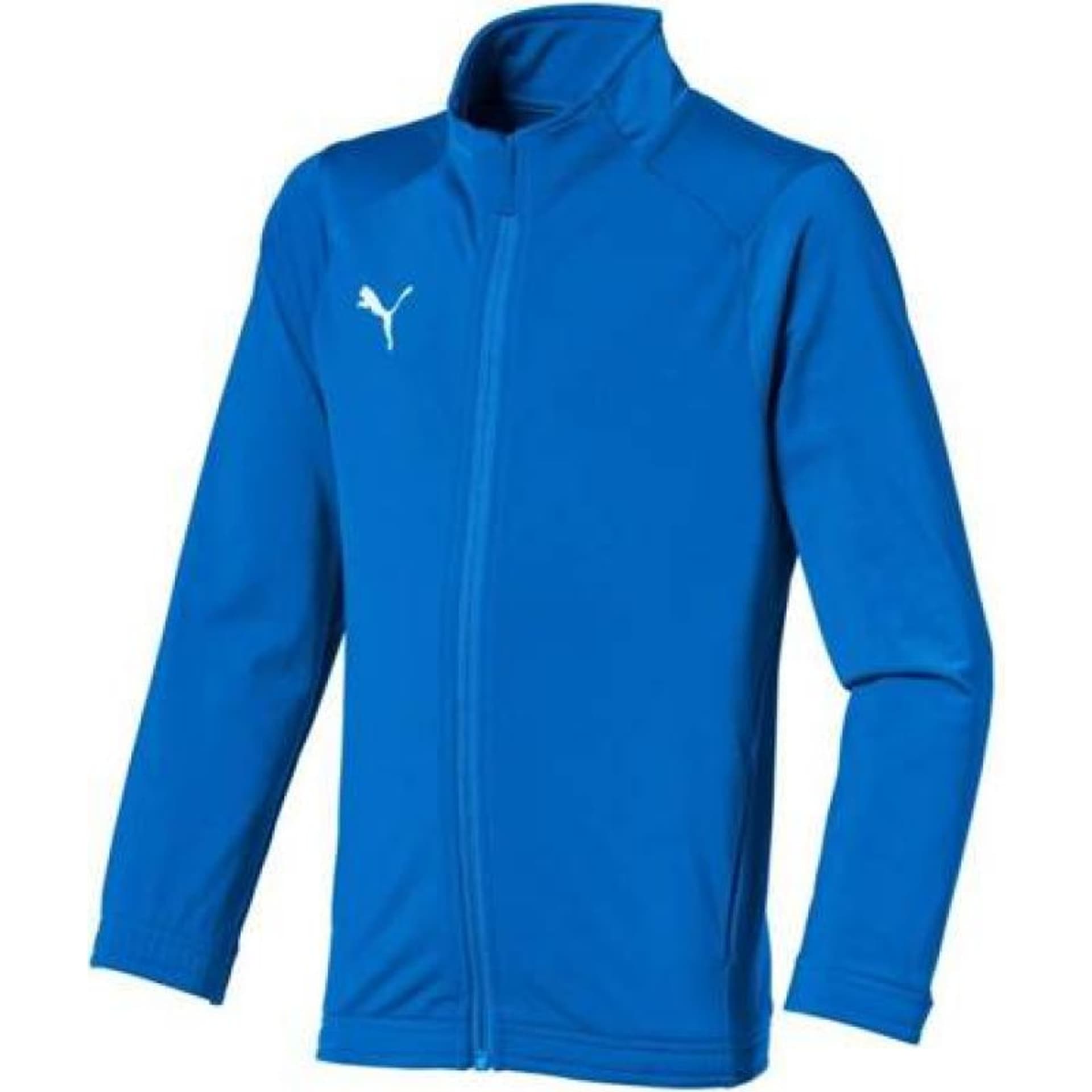

Bluza Puma Sideline Jr 655947 (kolor Niebieski, rozmiar 164)