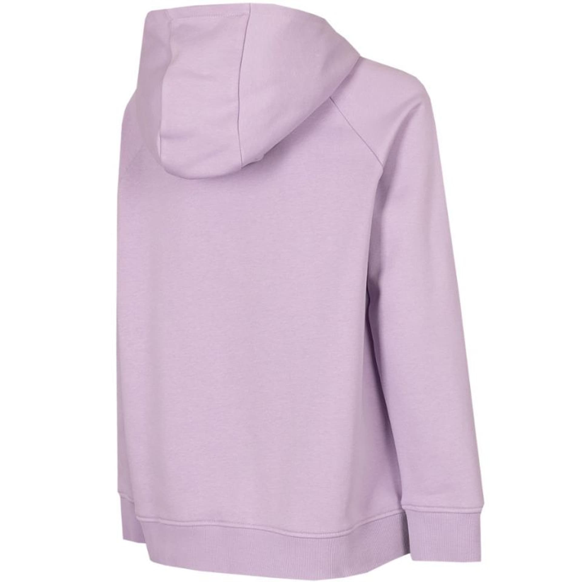 

Bluza 4F W H4Z22 BLD023 (kolor Fioletowy, rozmiar XL)