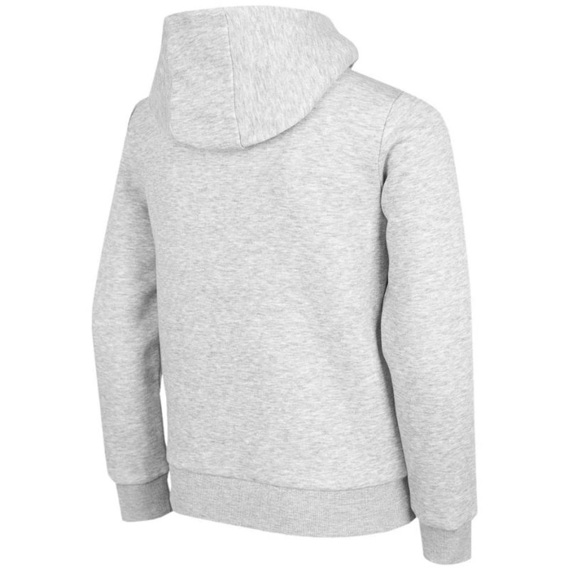 

Bluza 4F Jr HJZ22 JBLD001 (kolor Szary/Srebrny, rozmiar 146cm)