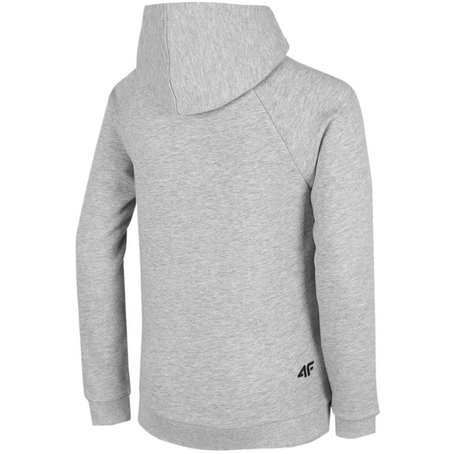 

Bluza 4F Jr HJZ22 JBLM002 (kolor Szary/Srebrny, rozmiar 164cm)