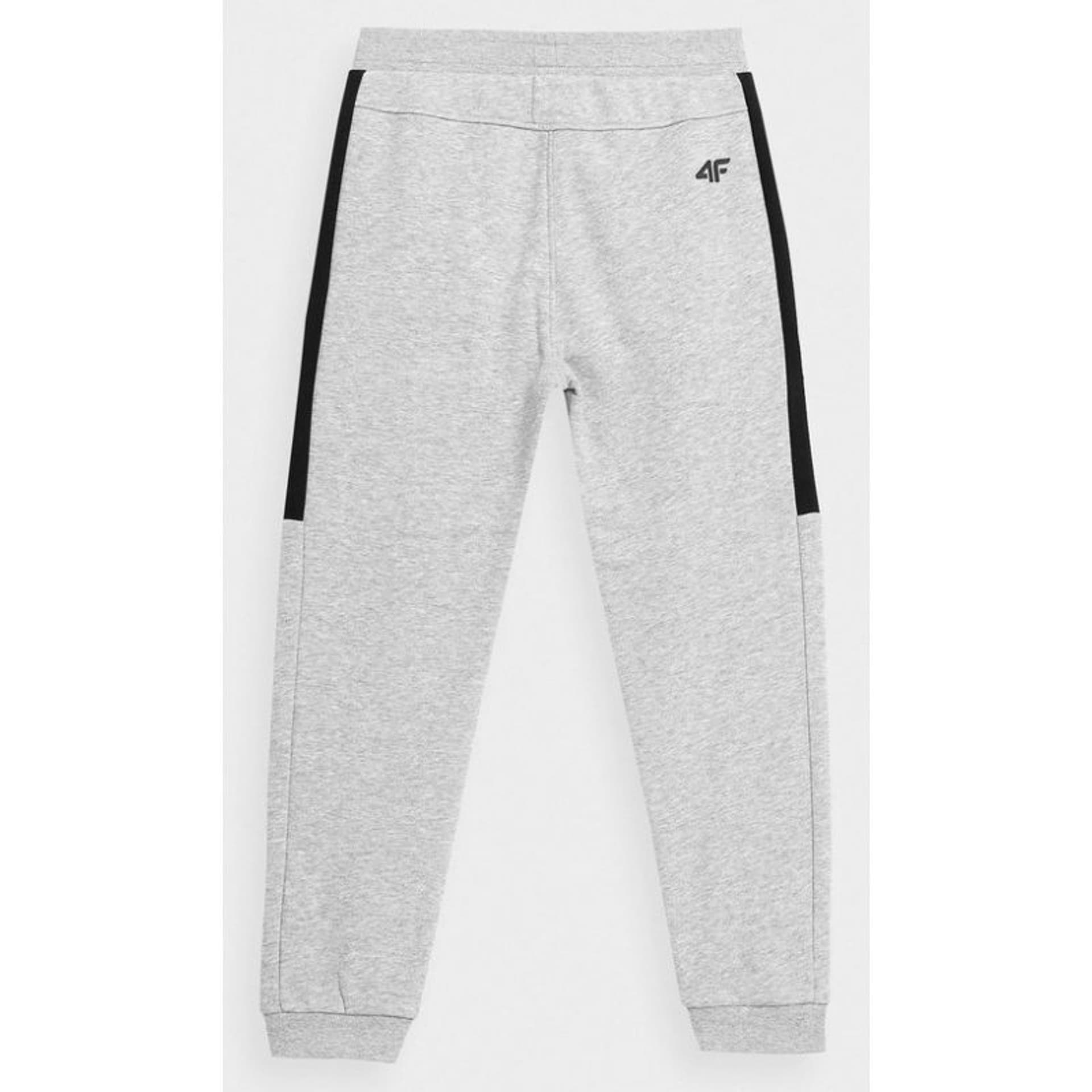 

Spodnie 4F Jr HJZ22JSPMD003 (kolor Szary/Srebrny, rozmiar 146)