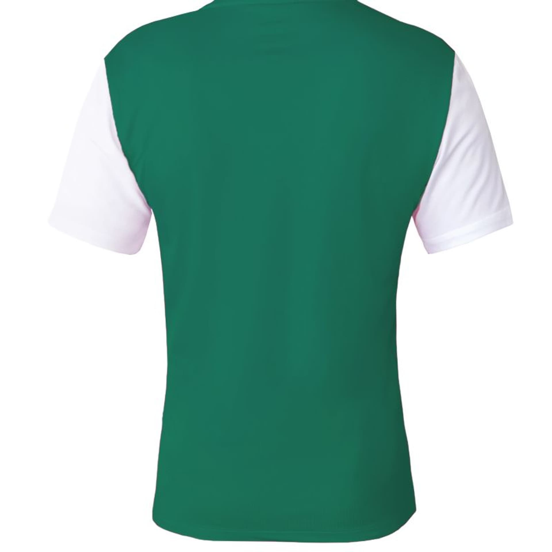 

Koszulka Nike Dri-Fit Tiempo Premier 2 M DH8035 (kolor Zielony, rozmiar L)