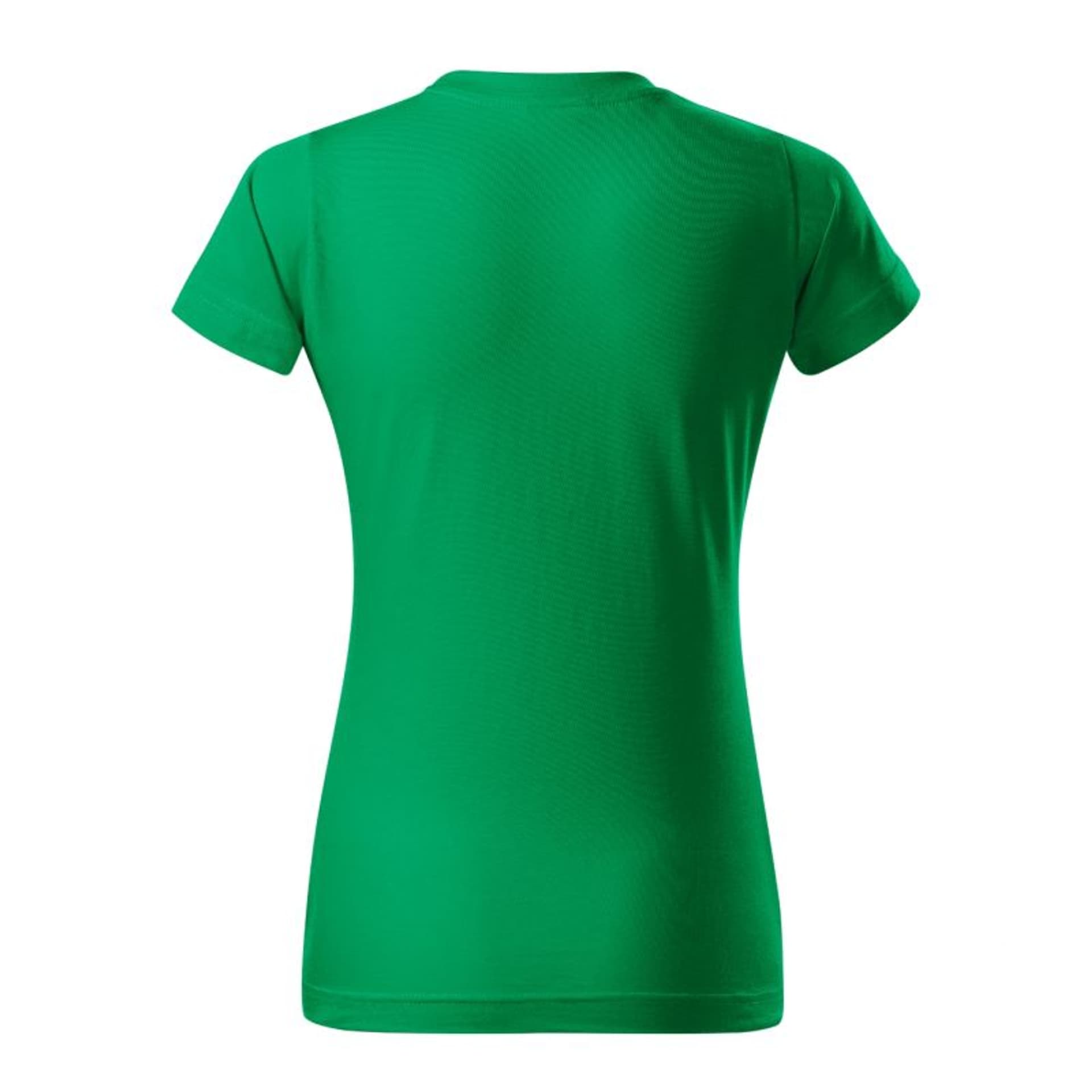 

Koszulka Malfini Basic W MLI-13415 (kolor Zielony, rozmiar XL)